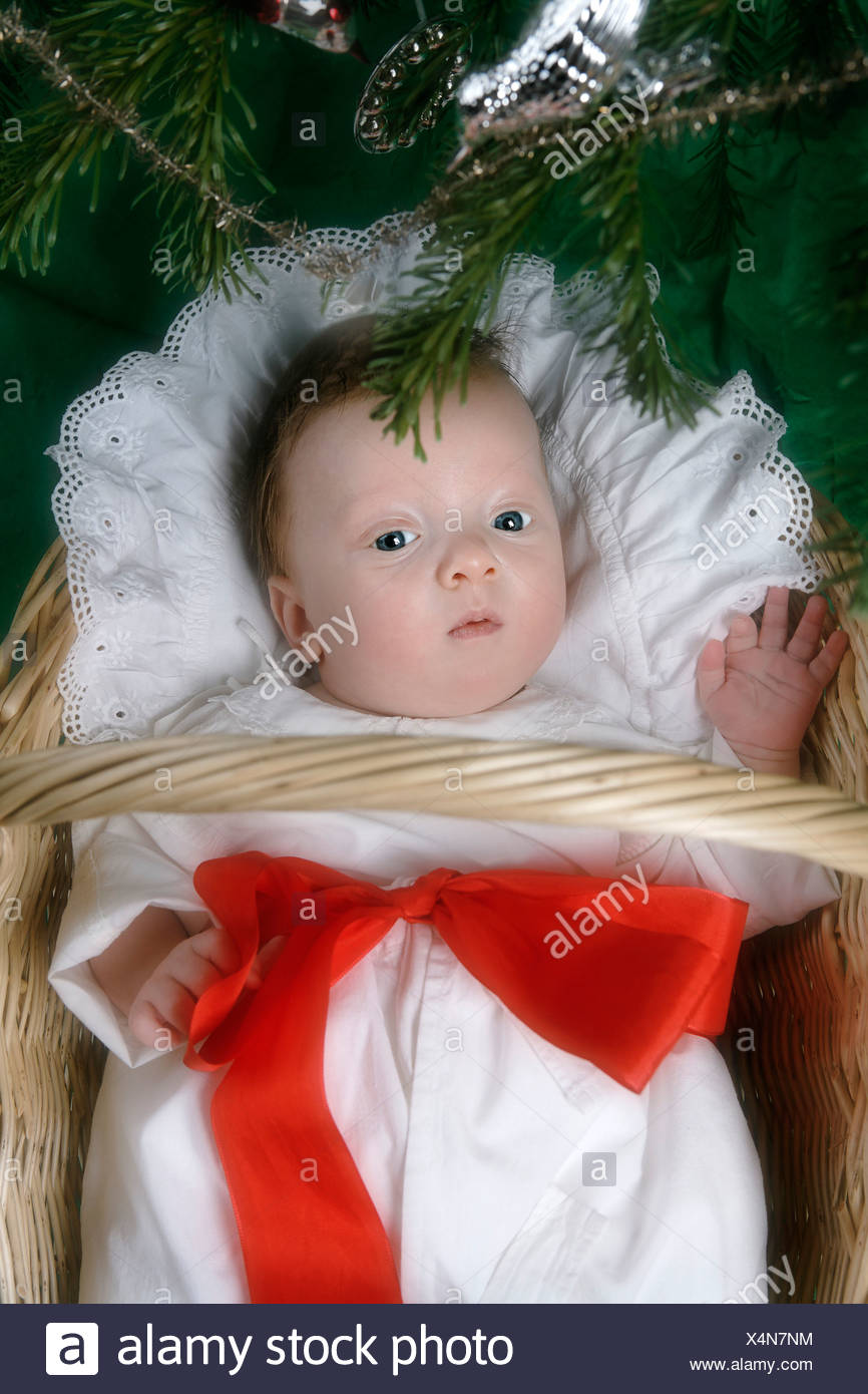 1 to 2 months 1 2 months alone babies baby basket bed blanket boy boys - Children Christmas Pictures 2 1 to 2 months 1 2 months alone babies baby basket bed blanket boy boys - Children Christmas Pictures 2