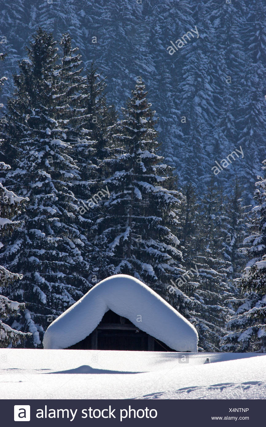 Log Cabins Deeply Covered With Snow Near Krungl Styria Austria