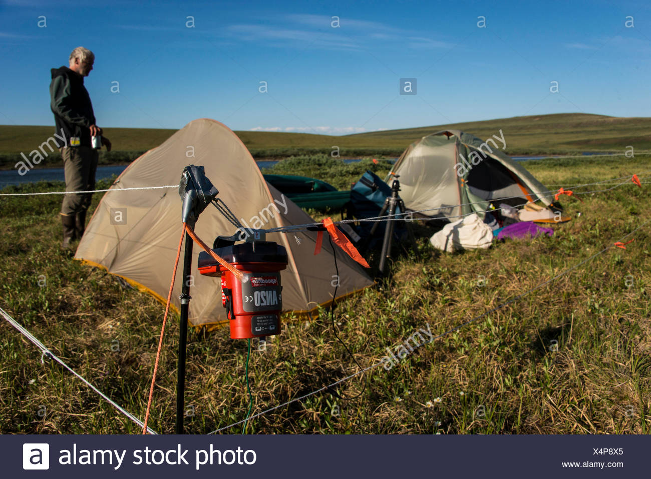Bear Proof High Resolution Stock Photography and Images Alamy