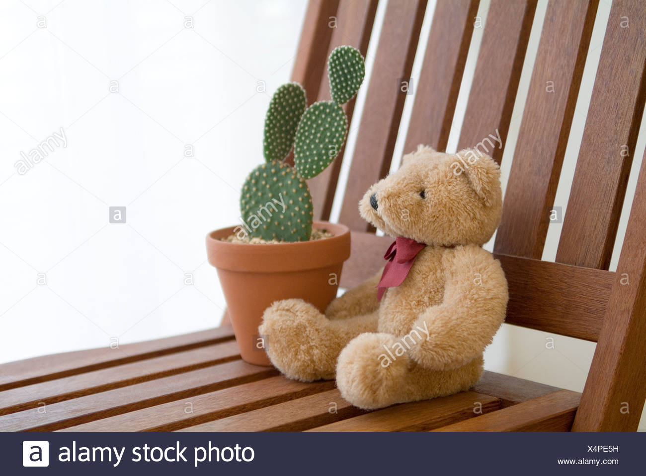 stuffed cactus plant