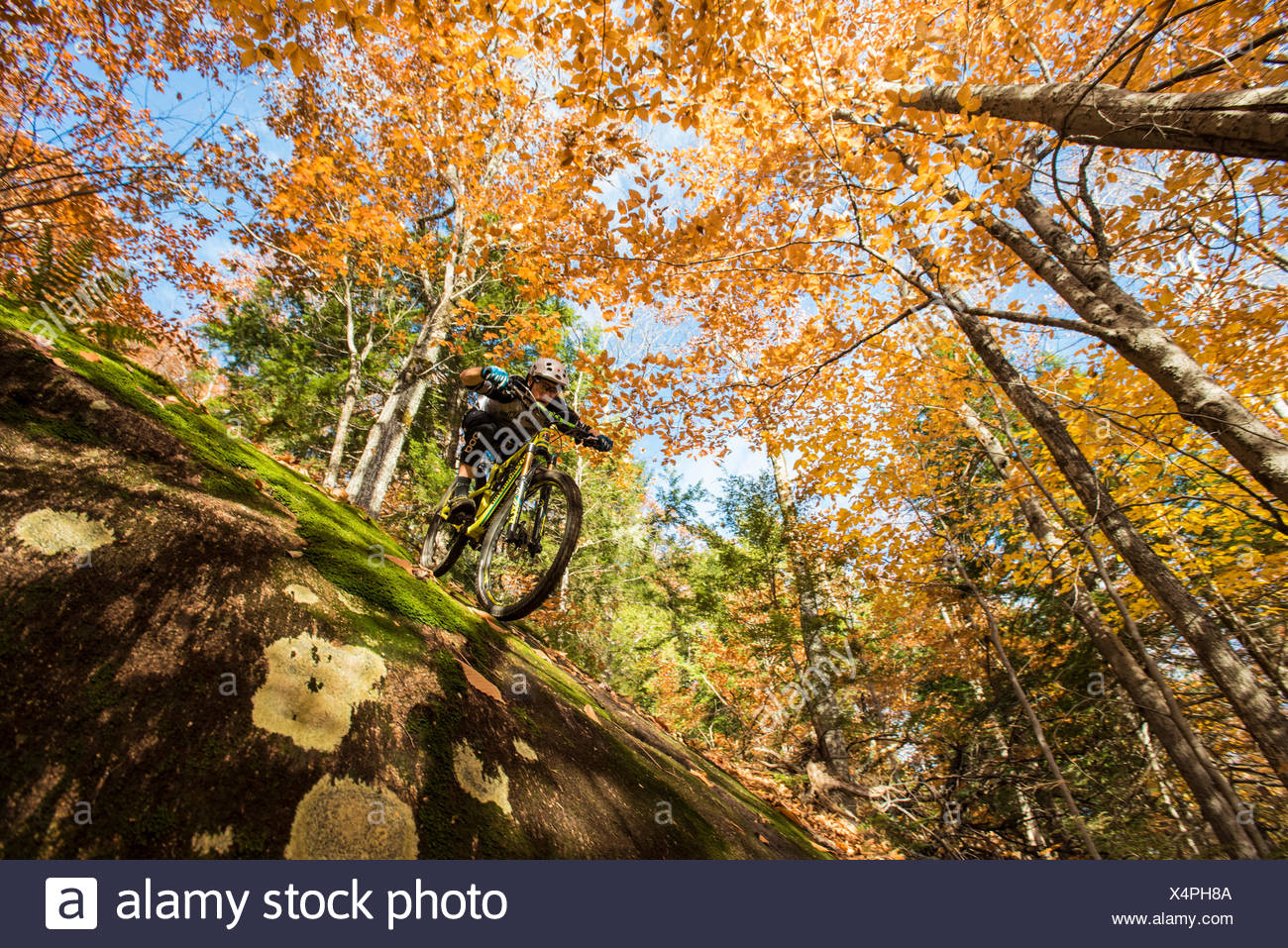 mountain biking white mountains