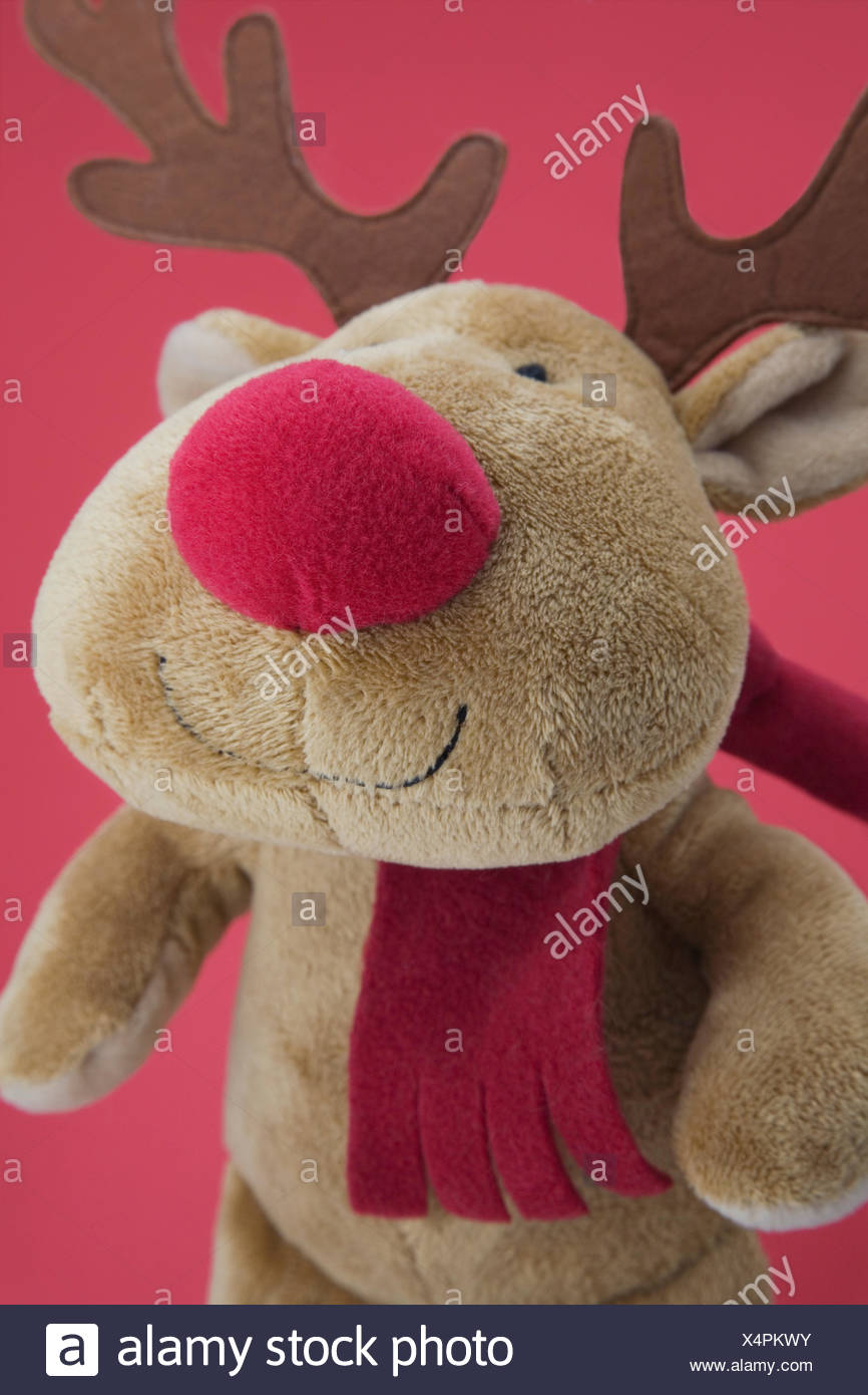 rudolph teddy