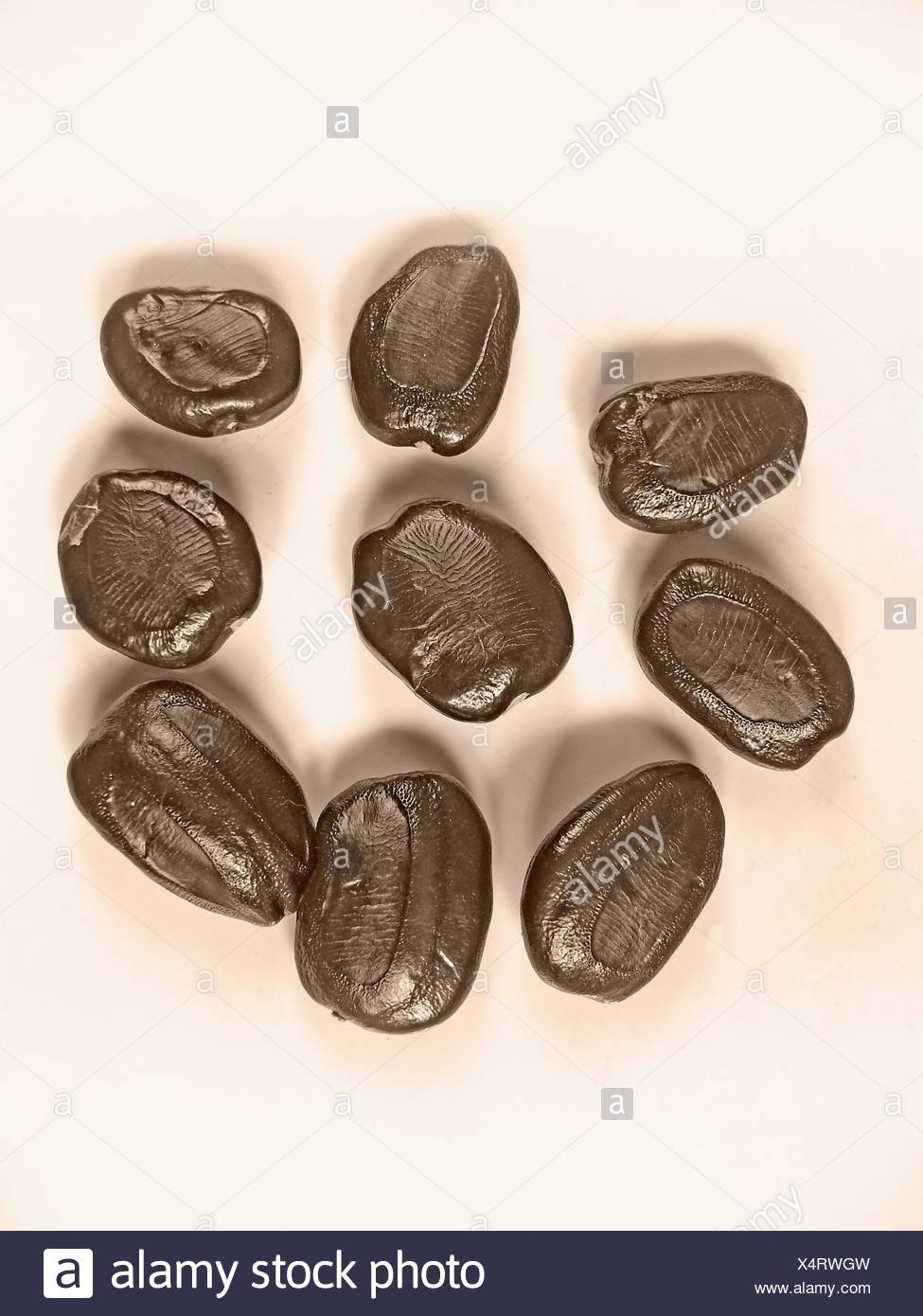 Tamarind Tamarindus Indica Seeds Stock Photo Alamy Tamarind Tamarindus Indica Seeds Stock Photo Alamy