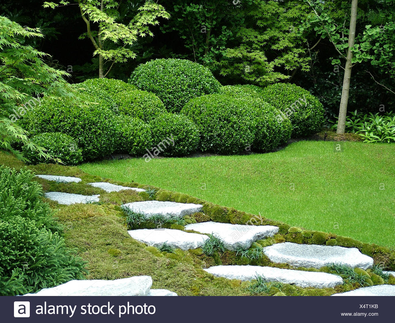 Japanese Garden Designer Stock Photos Japanese Garden Designer