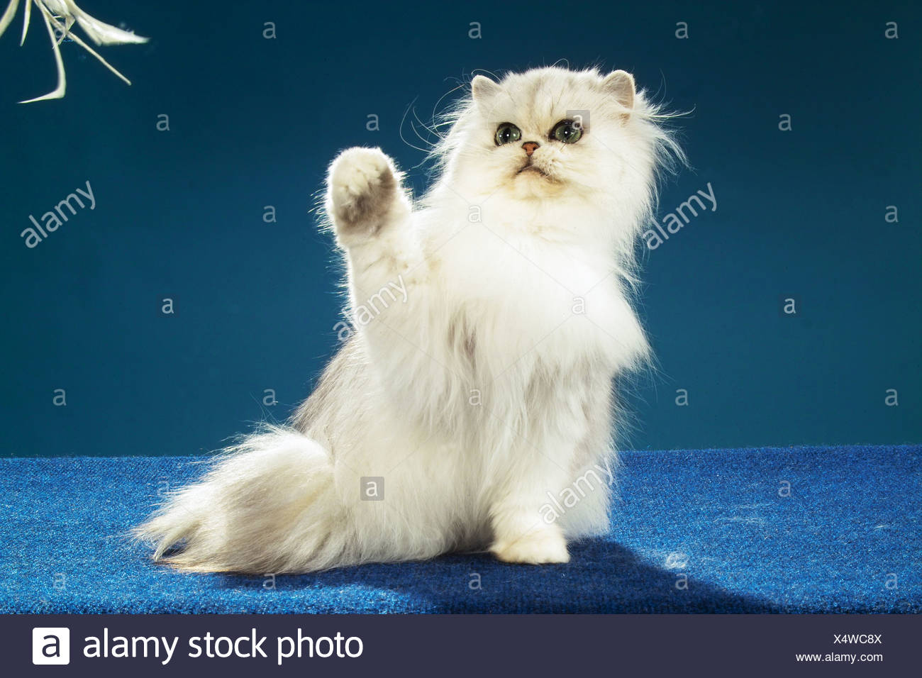 brindle waterproof dog bed