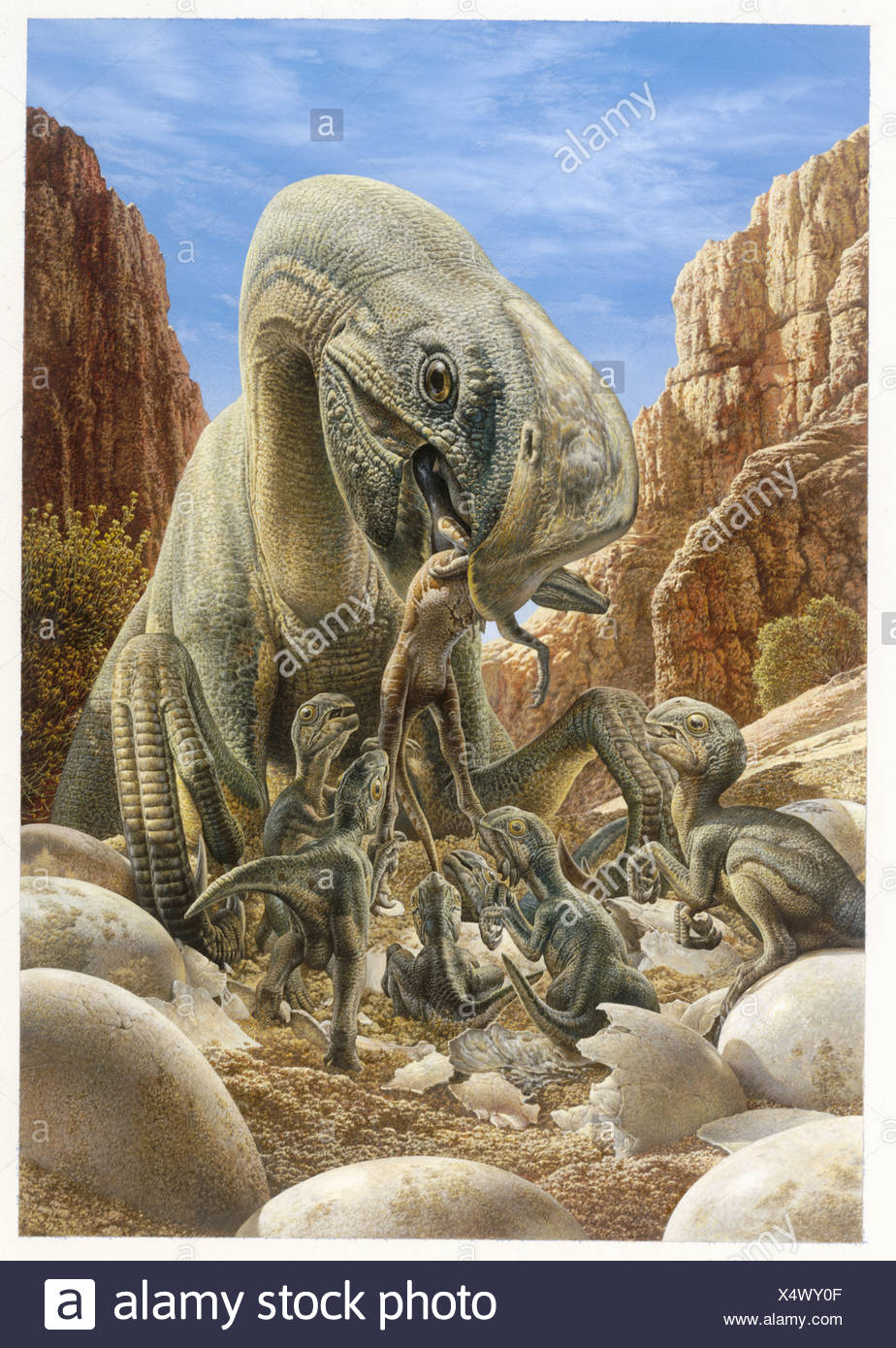 Oviraptor Stock Photos & Oviraptor Stock Images - Alamy