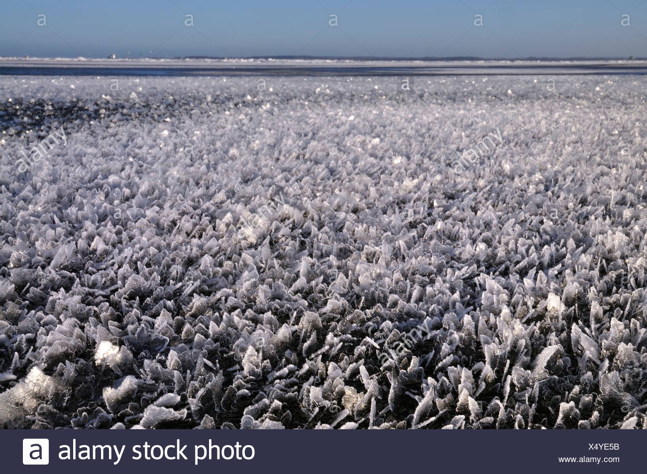 About over shallow water area of the Baltic Sea off Stein, Probstei, Ploen district, Schleswig-Holstein, Germany, Europe Stock Photo