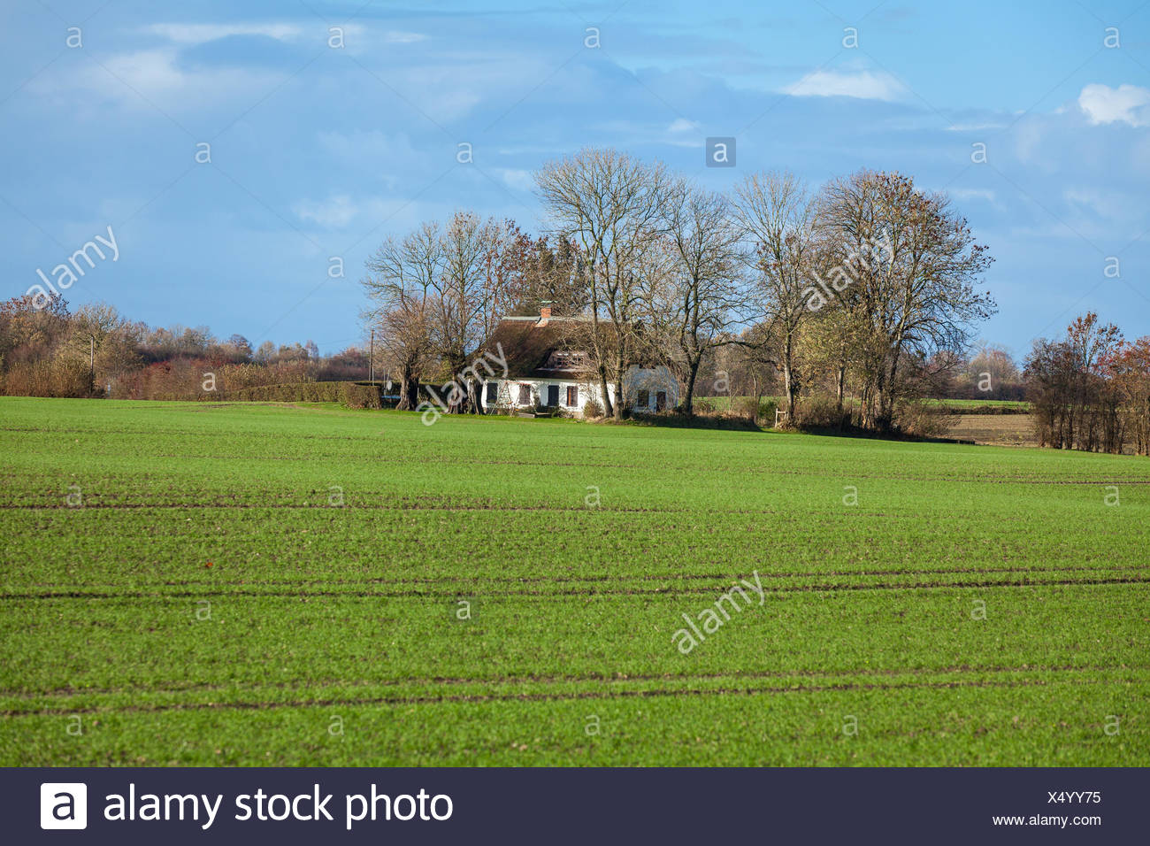 Schone Herbstliche Landschaft Hintergrund Natur Landwirtschaft Himmel Stock Photo Alamy