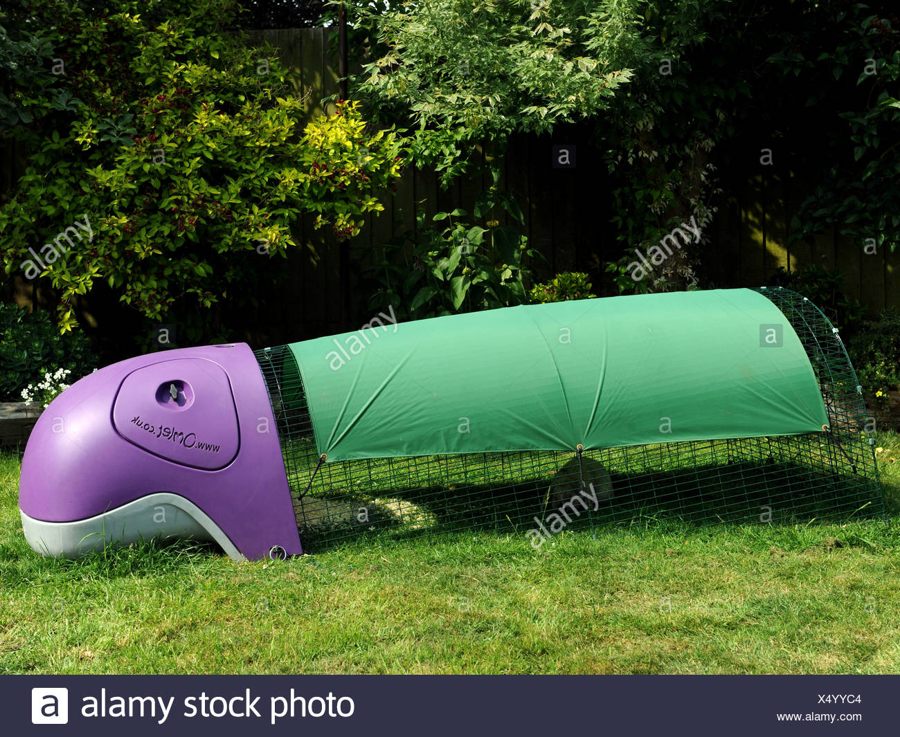 Run Rabbit High Resolution Stock Photography and Images - Alamy