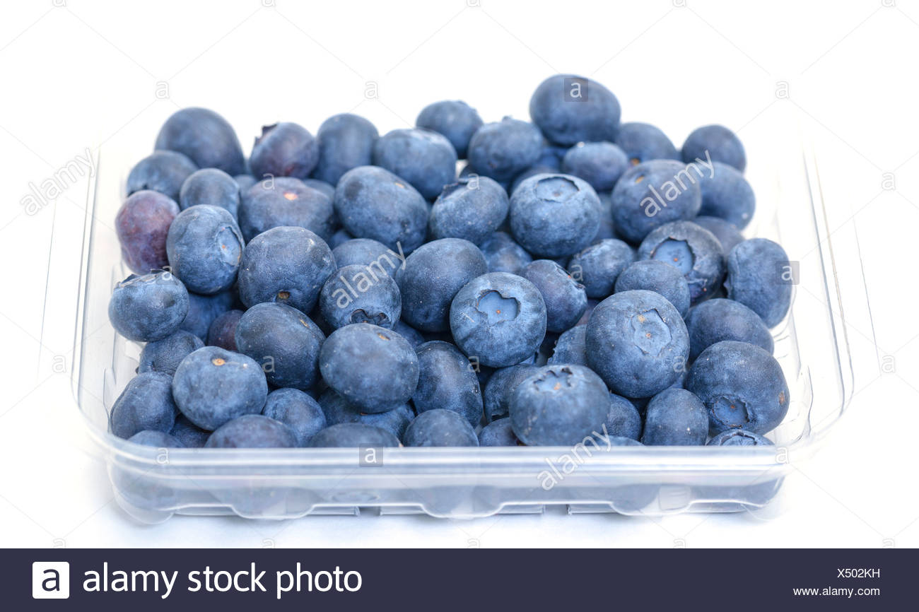 Download Fresh Blueberries In Plastic Container Stock Photo Alamy Yellowimages Mockups