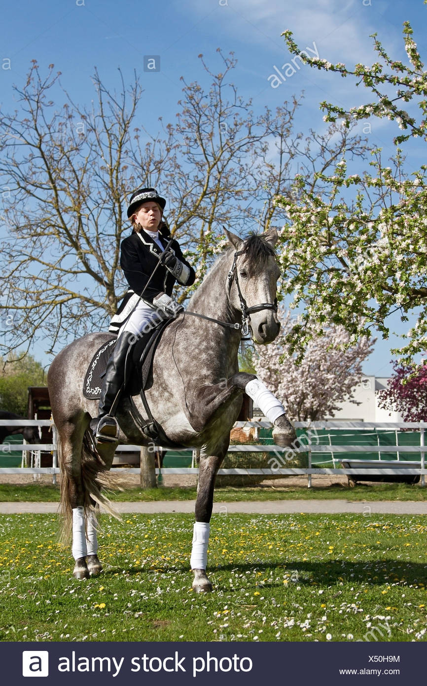 Baroque Riding High Resolution Stock Photography and Images - Alamy
