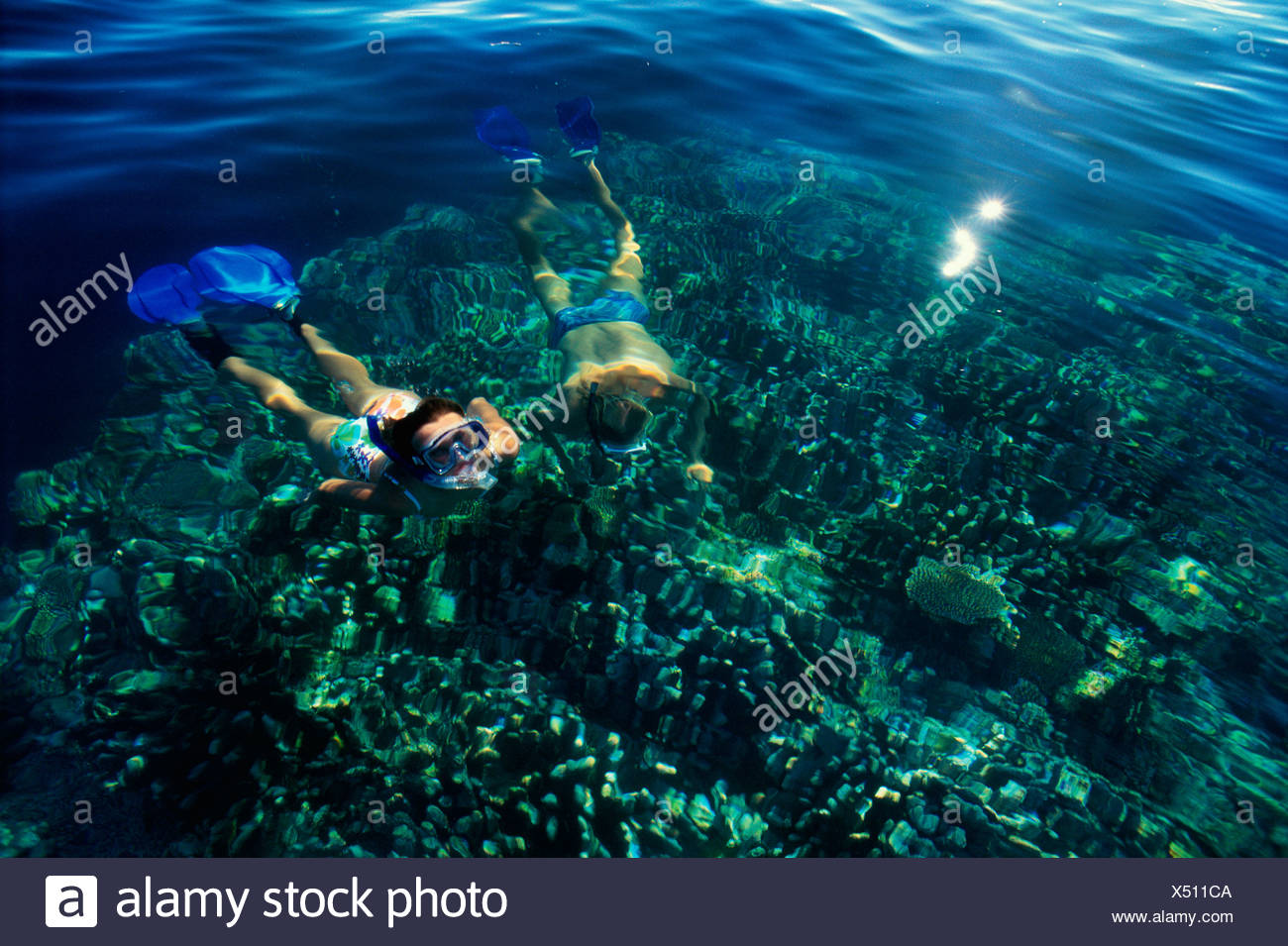 High Angle View Of People Snorkeling Underwater Stock Photo Alamy