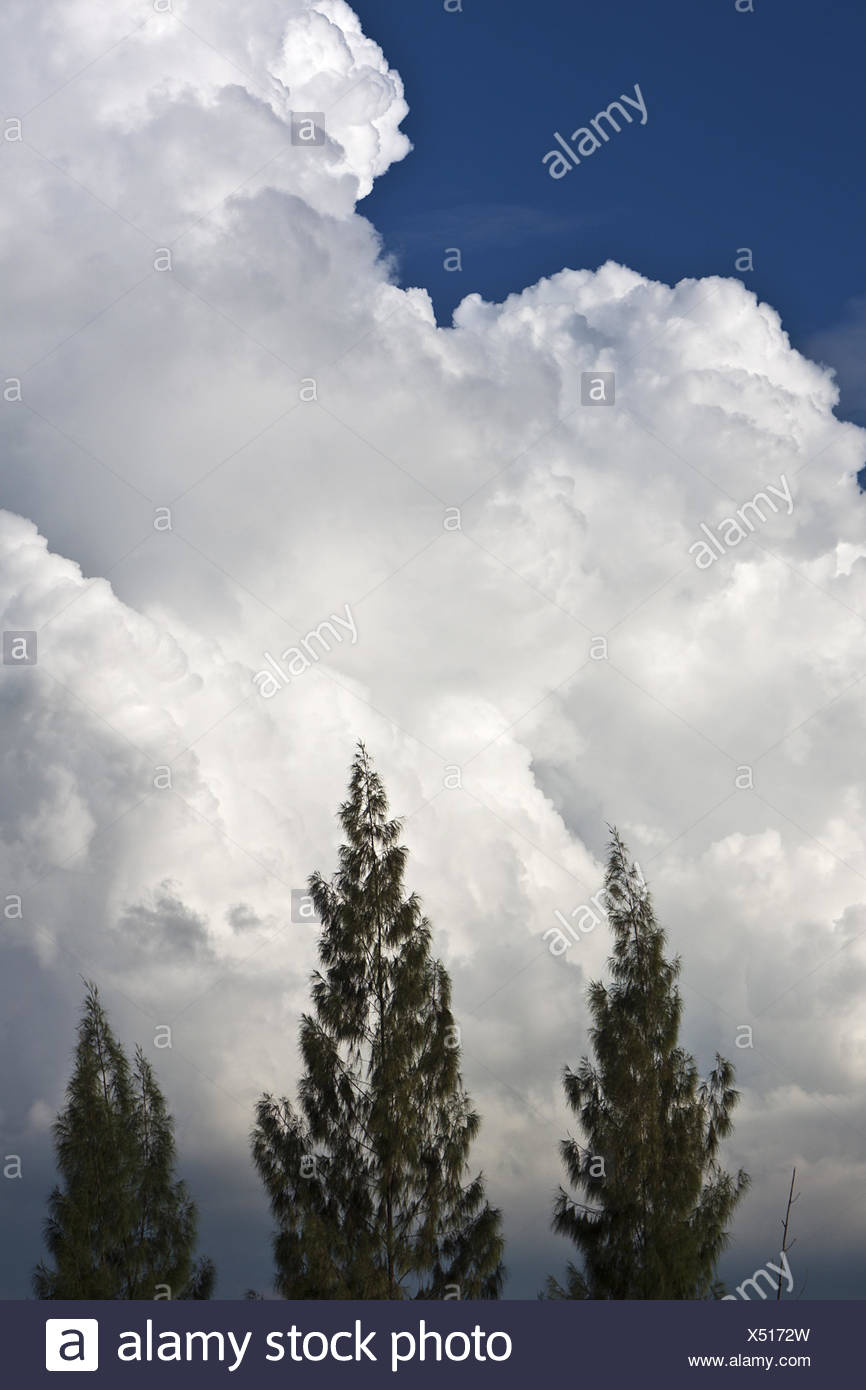 Emerging storm Stock Photo