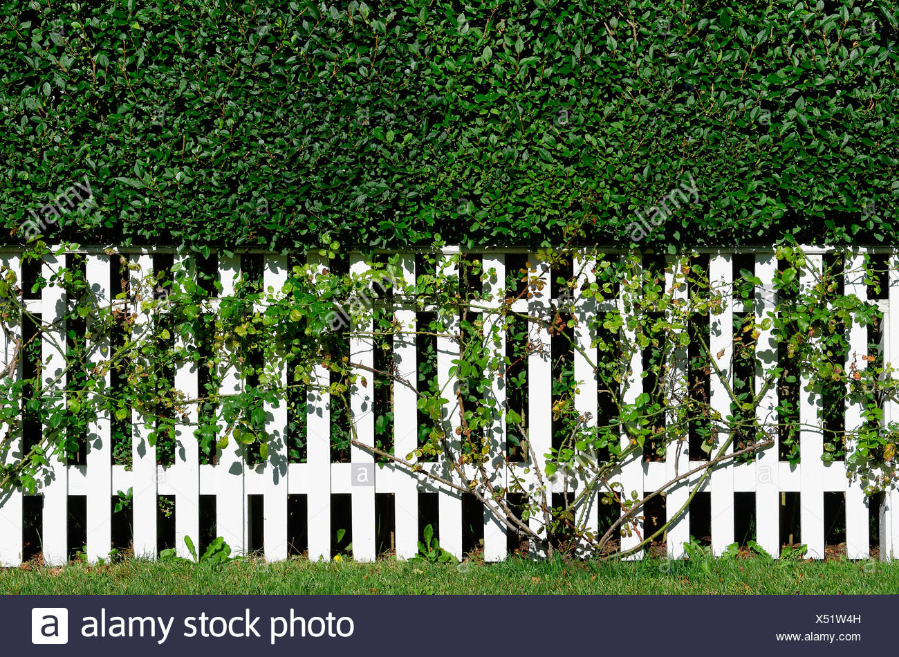 White Picket Fence High Resolution Stock Photography and Images - Alamy