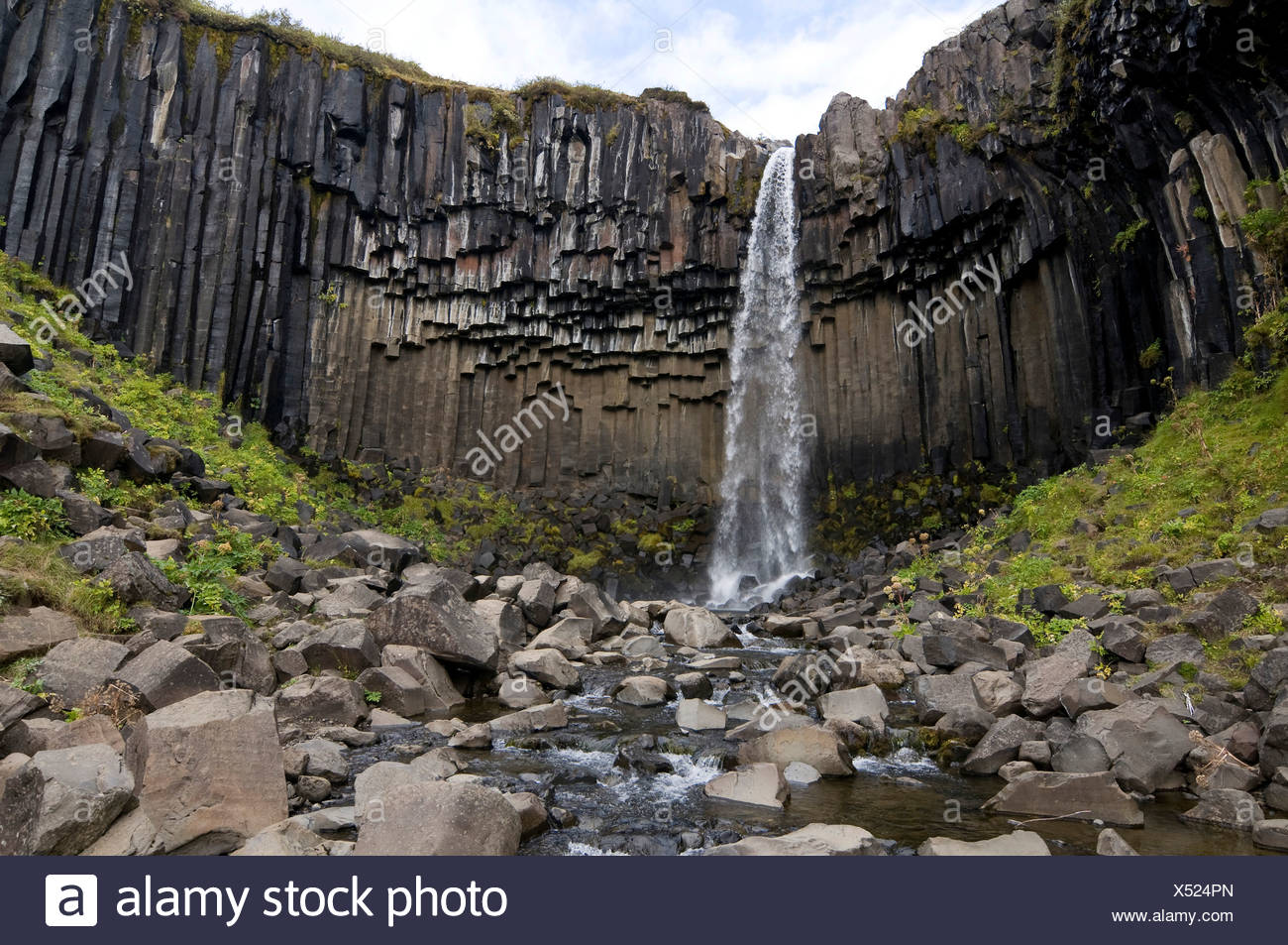 Svartifoss Waterfall Skaftafell National Park Iceland Europe Stock Photo Alamy