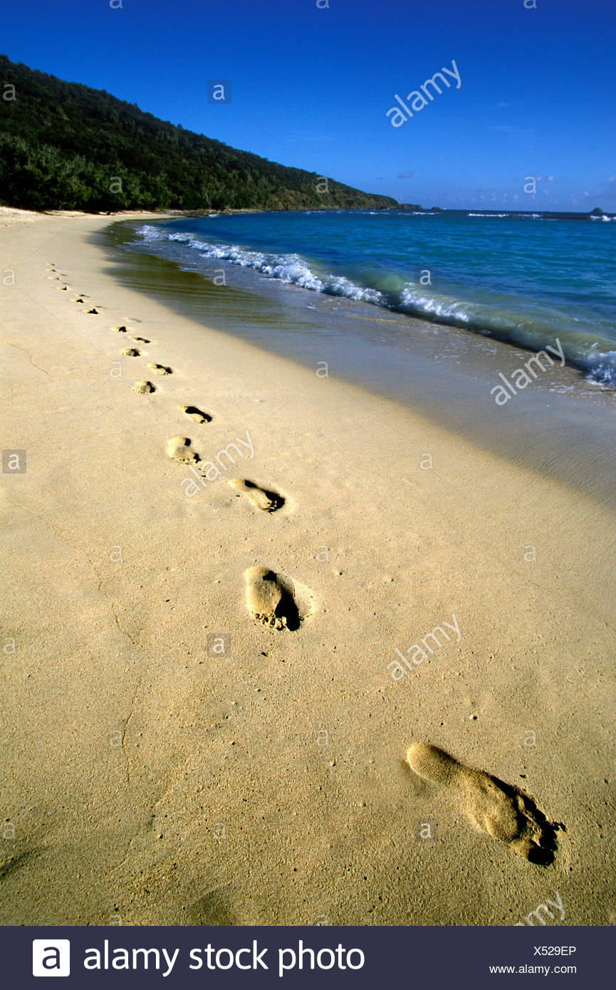 footprints sand caribbean stock