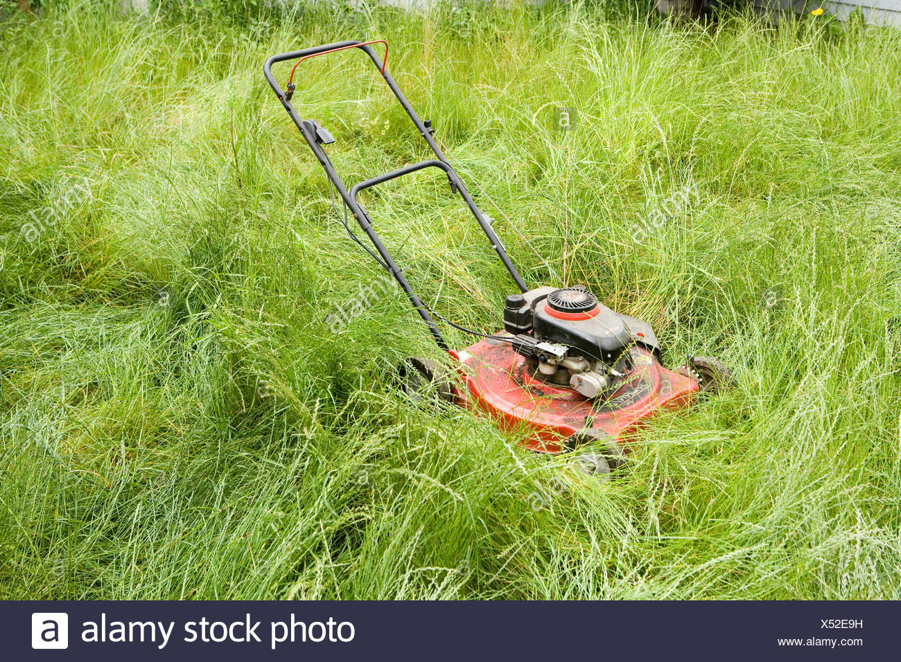 Overgrown Lawn Stock Photos & Overgrown Lawn Stock Images Alamy