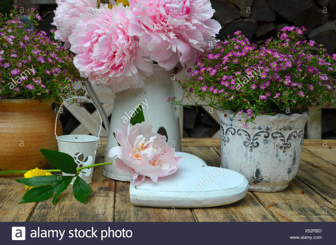 Garden Peonies Shabby Chic Flowers Stock Photo Alamy