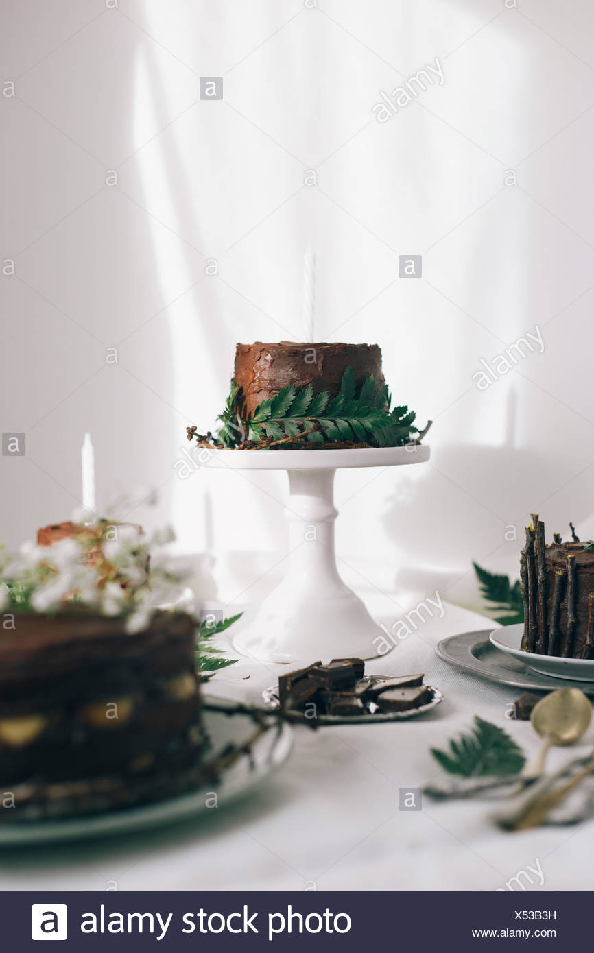 Chocolate Modern Cake Stock Photos Chocolate Modern Cake Stock