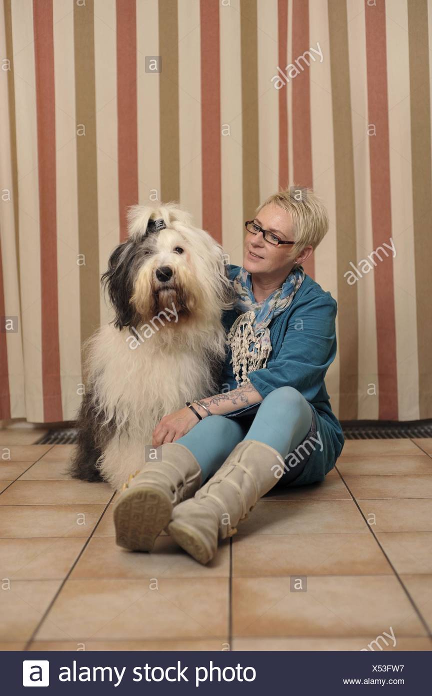female old english sheepdog