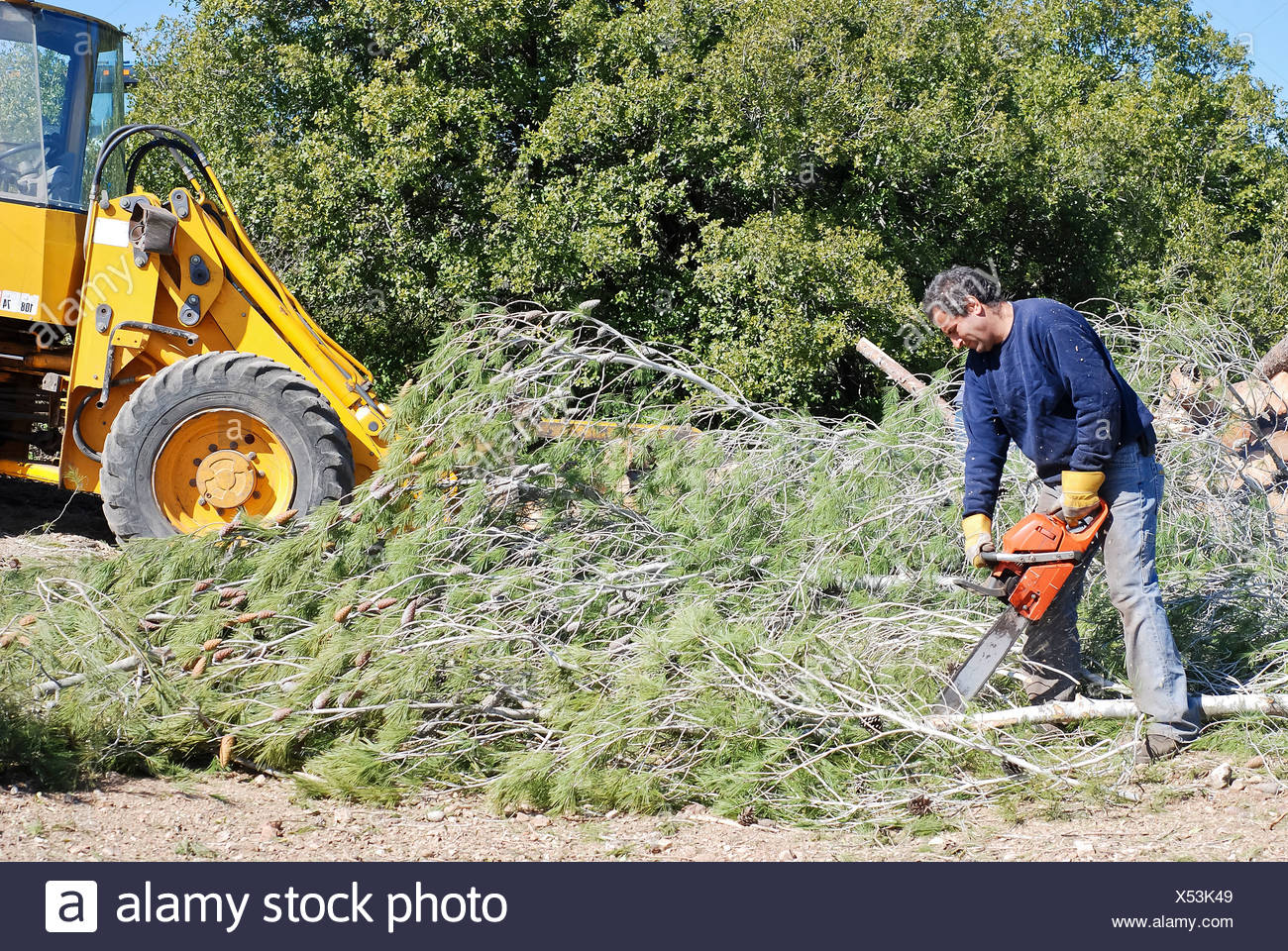yaar cutting machine
