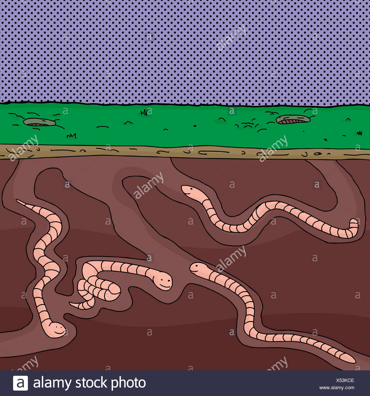 Earthworm Underground Stock Photos & Earthworm Underground Stock Images