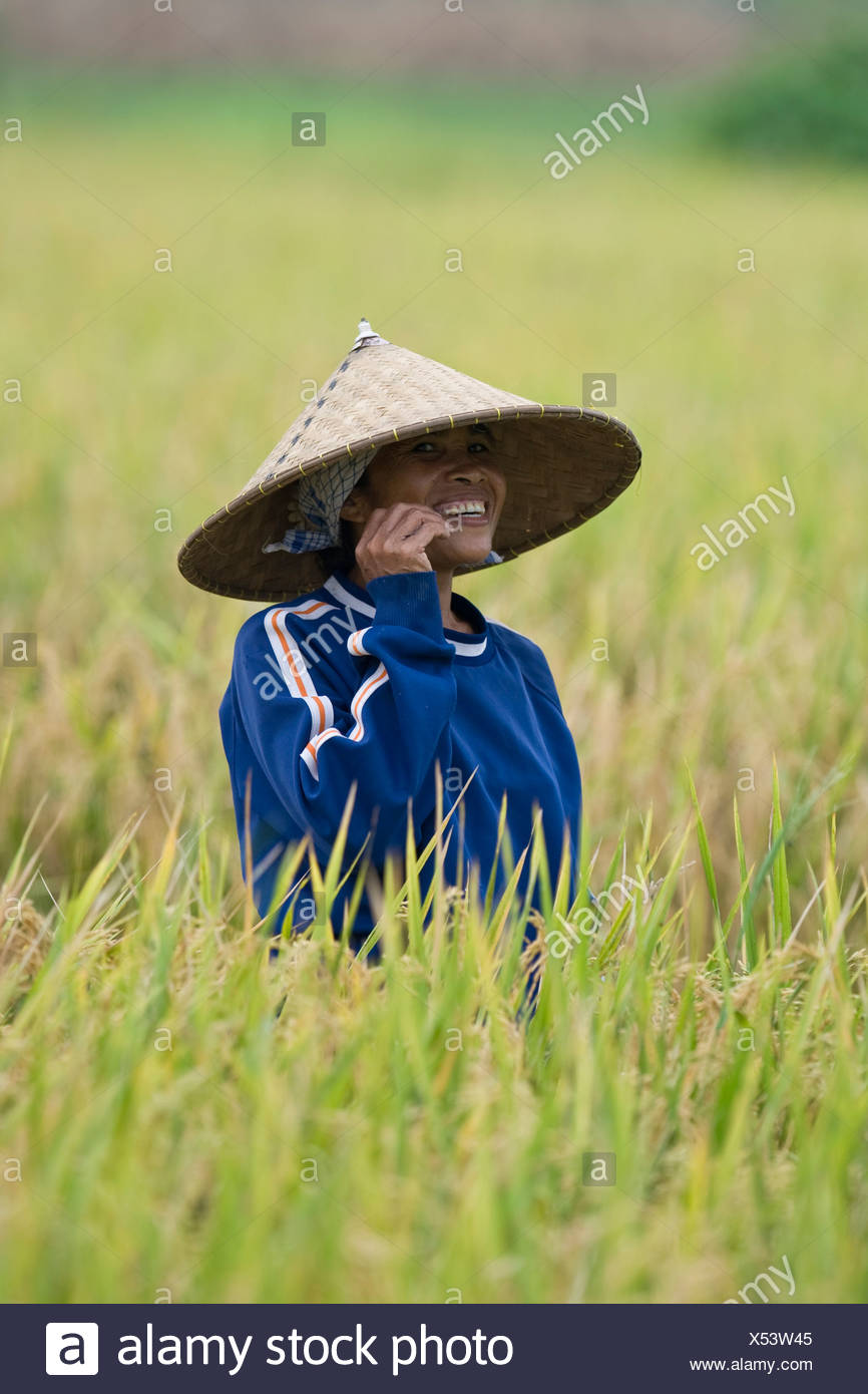 rice field hat