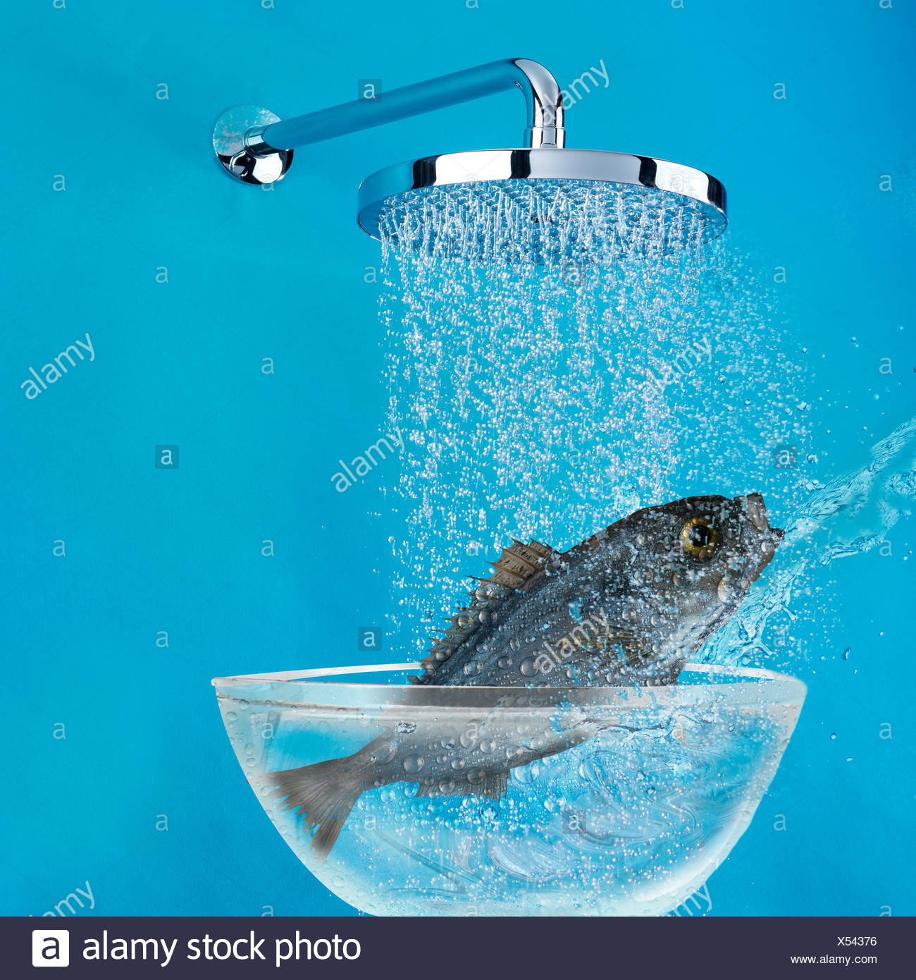 Natural Resources Depletion High Resolution Stock Photography and