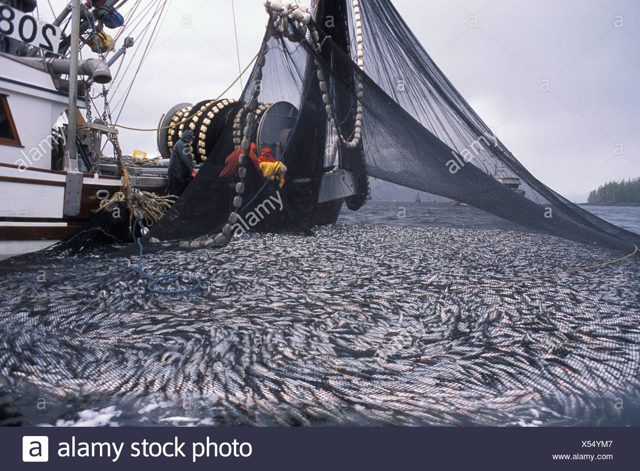 commercial fishing