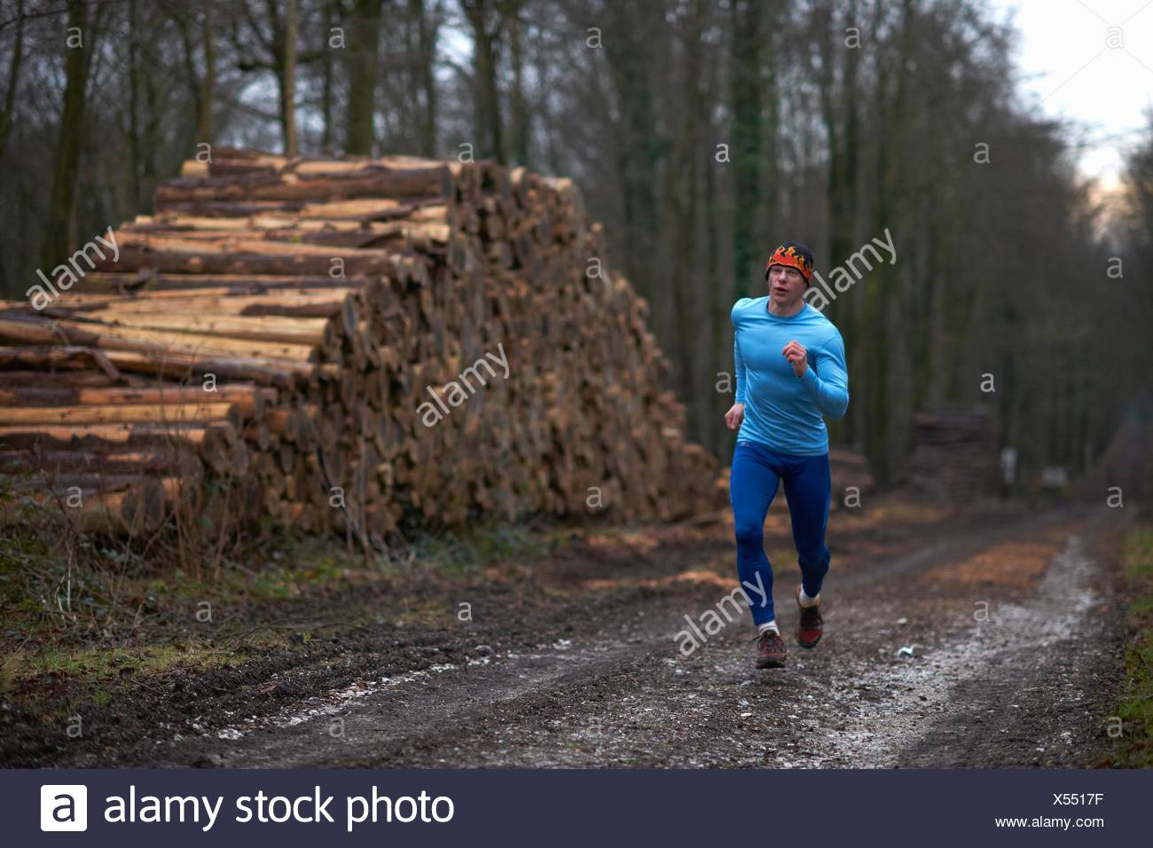 log path stock photos log path stock images alamy runner log