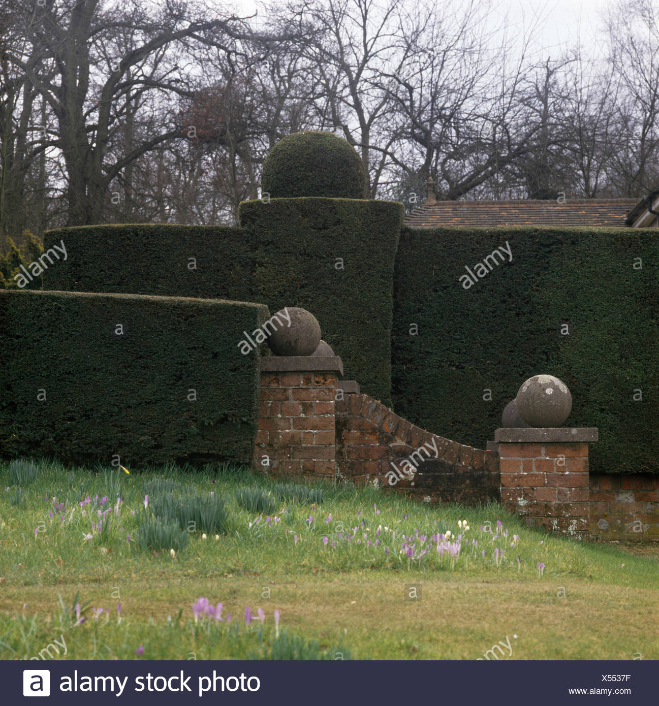 Topiary Balls Stock Photos & Topiary Balls Stock Images - Alamy
