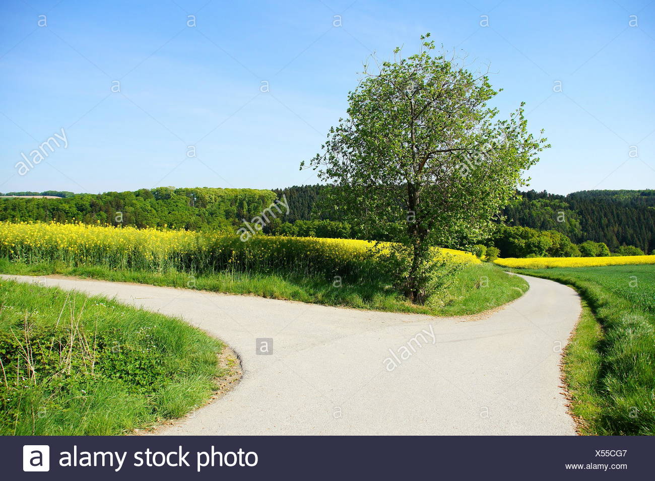 Get Weggabelung decision Desktop Wallpaper Free Weggabelung Decision