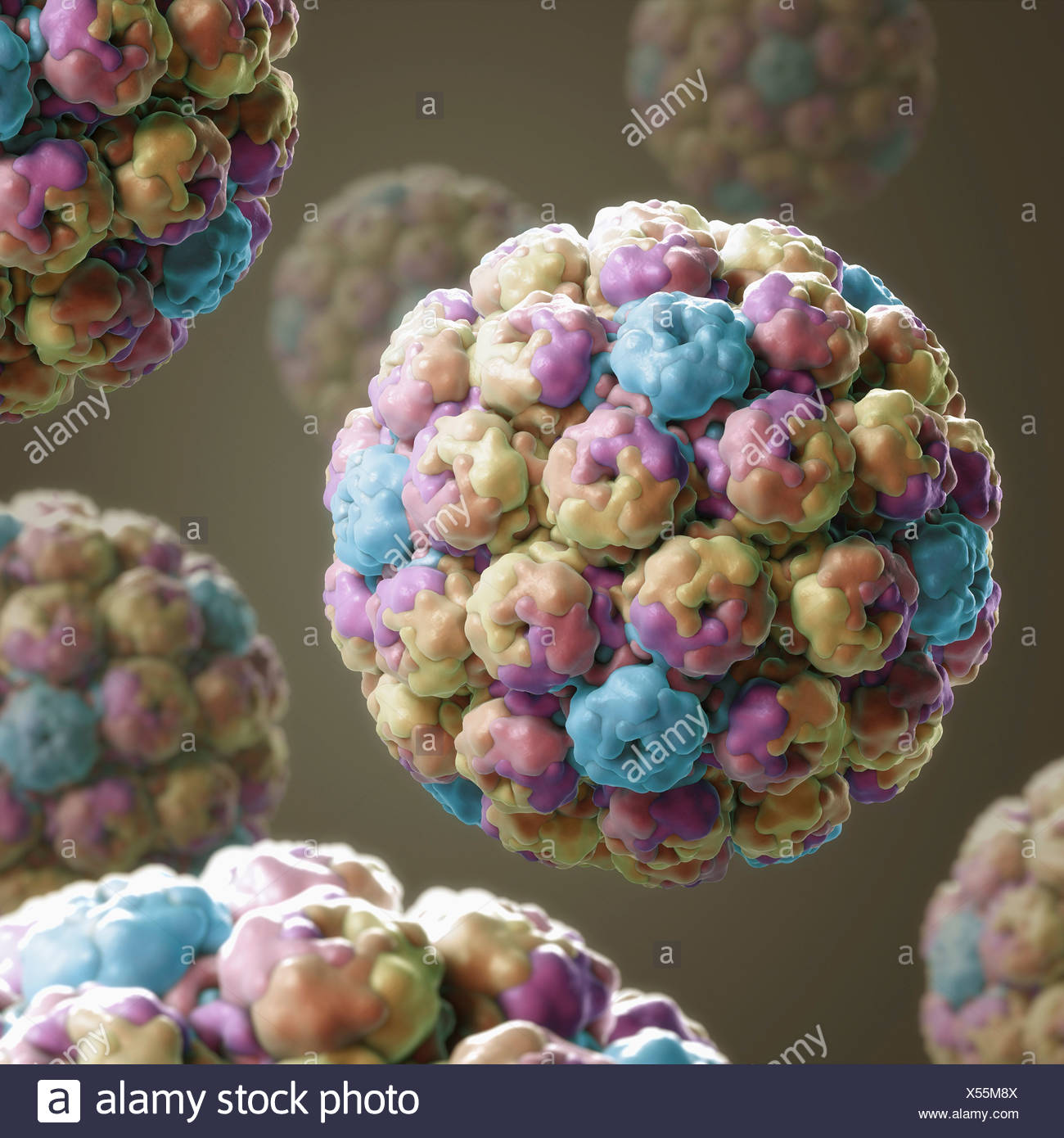 Monkeys Objects Stock Photos & Monkeys Objects Stock Images - Alamy