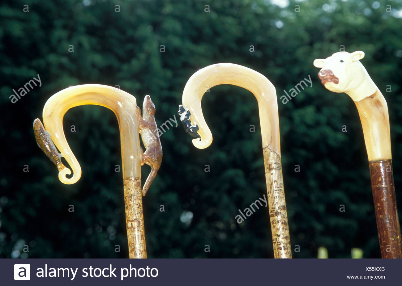 north walking sticks