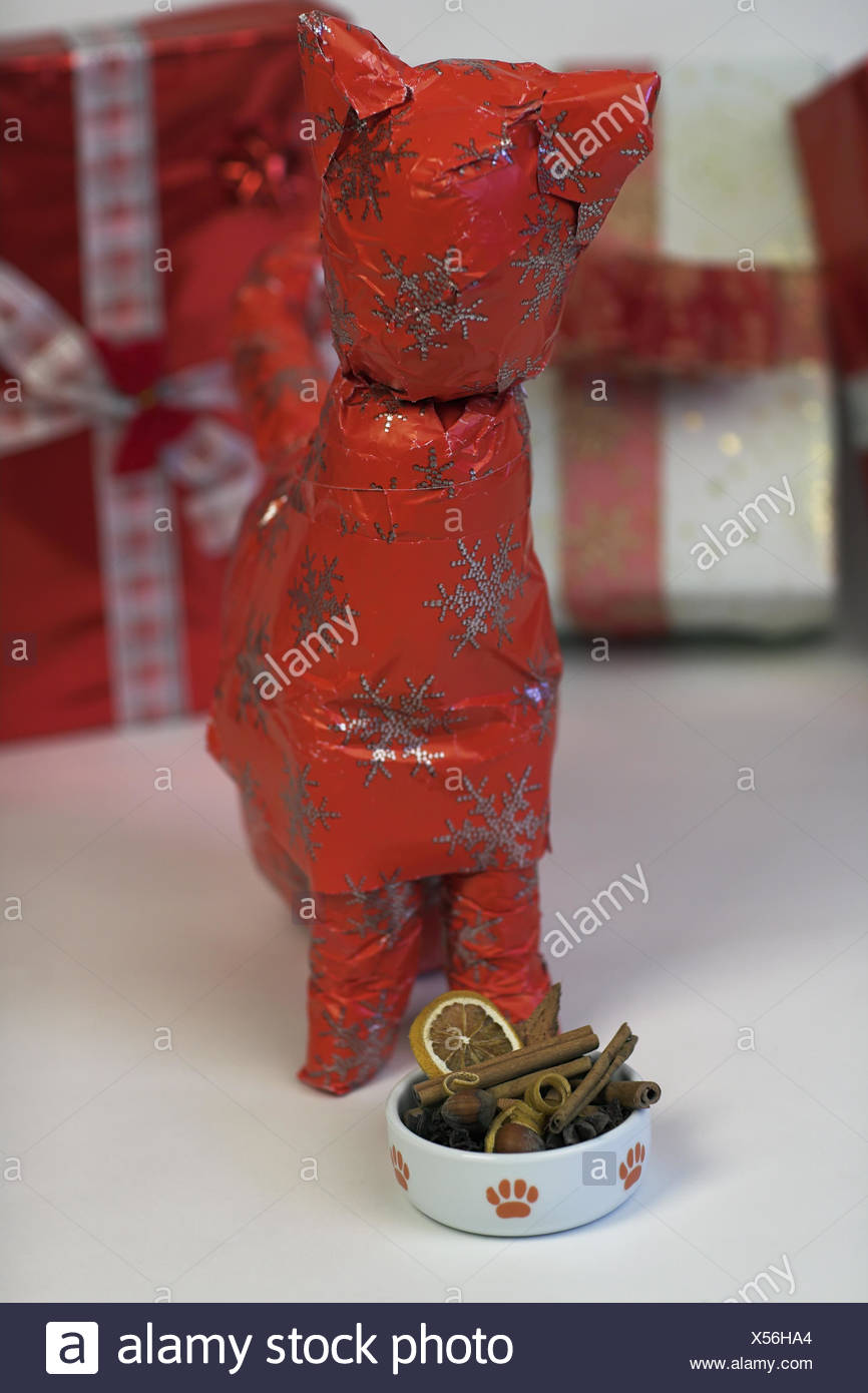 Paper Bowl High Resolution Stock Photography and Images Alamy