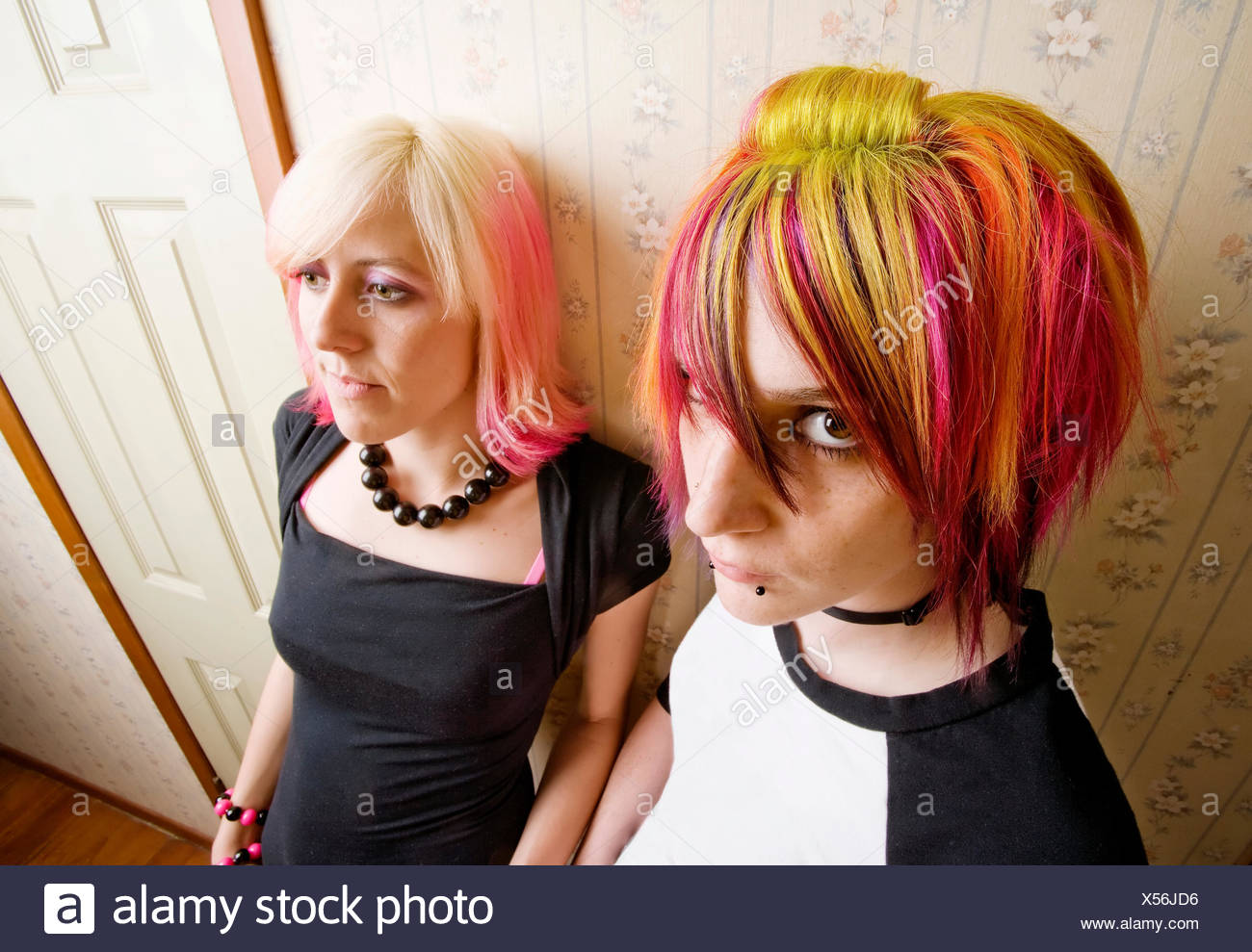 Generation Teenager Punk Color Paint Hair Teens Teenagers Youth