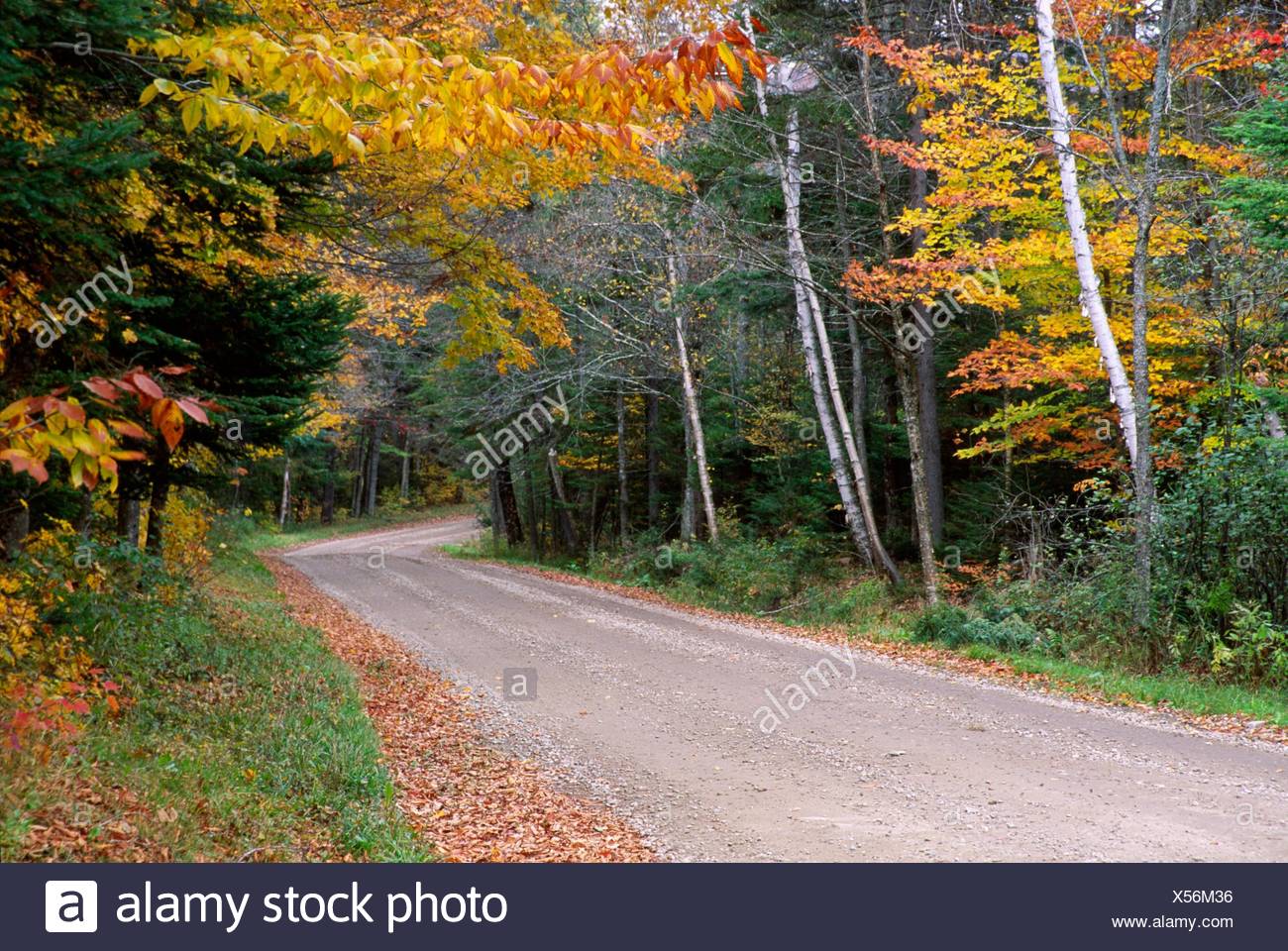 Green Mountain National Forest Vermont High Resolution Stock Photography and Images Alamy