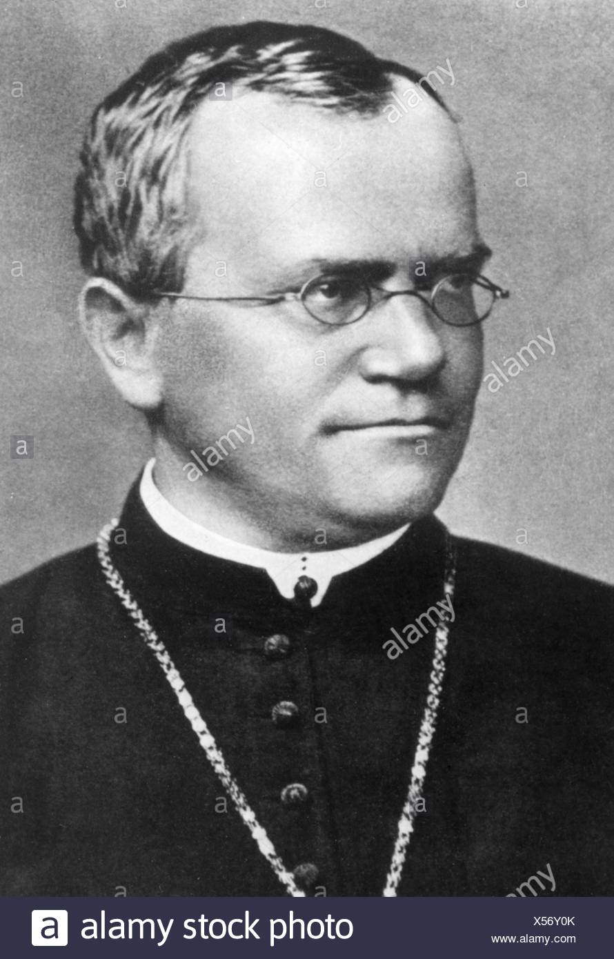 Gregor Mendel High Resolution Stock Photography and Images - Alamy