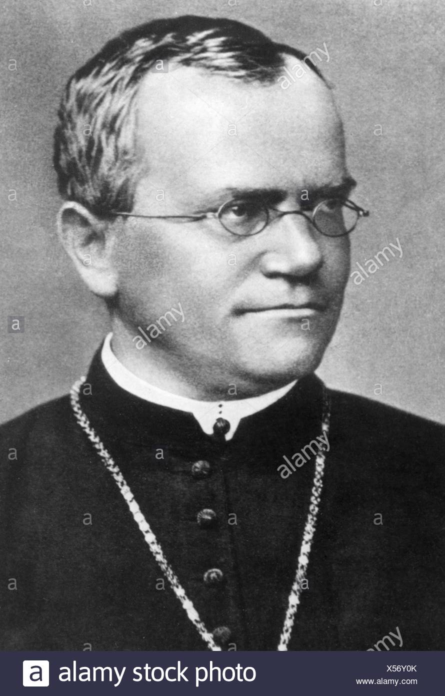 Gregor mendel Stock Photos and Images