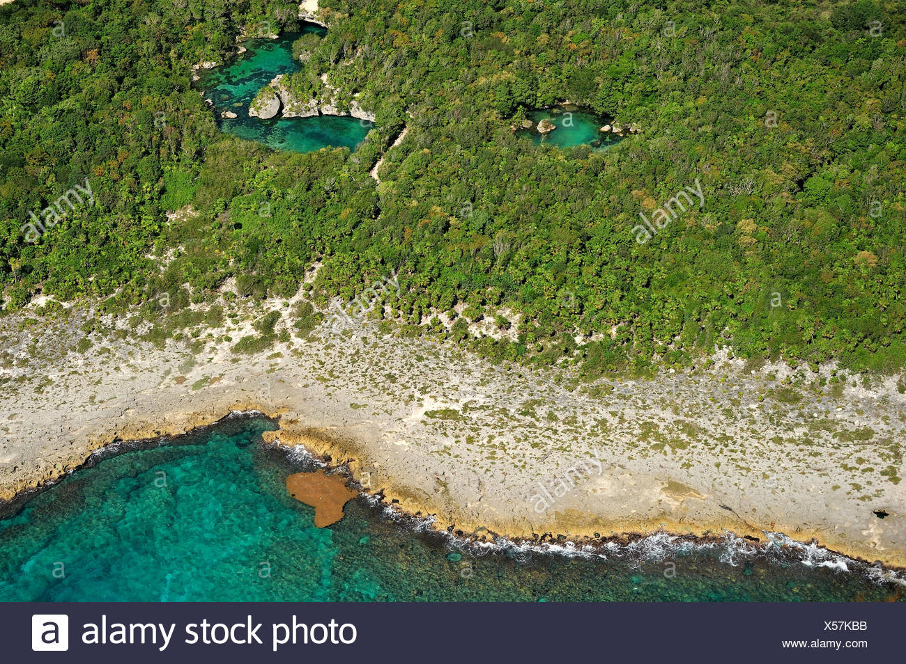 aerial view of the cenotes freshwater holes located all over the yucatan peninsula mexico