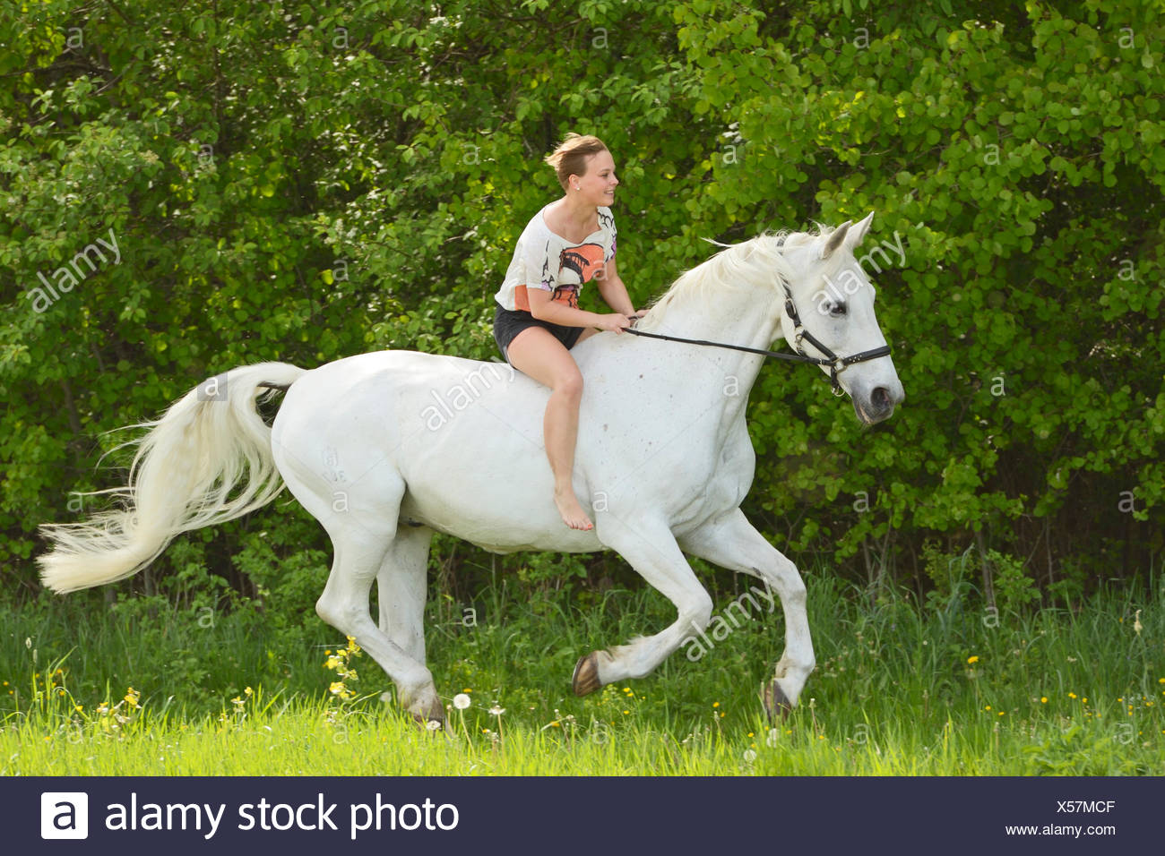 Bareback Horse Riding High Resolution Stock Photography and Images Alamy