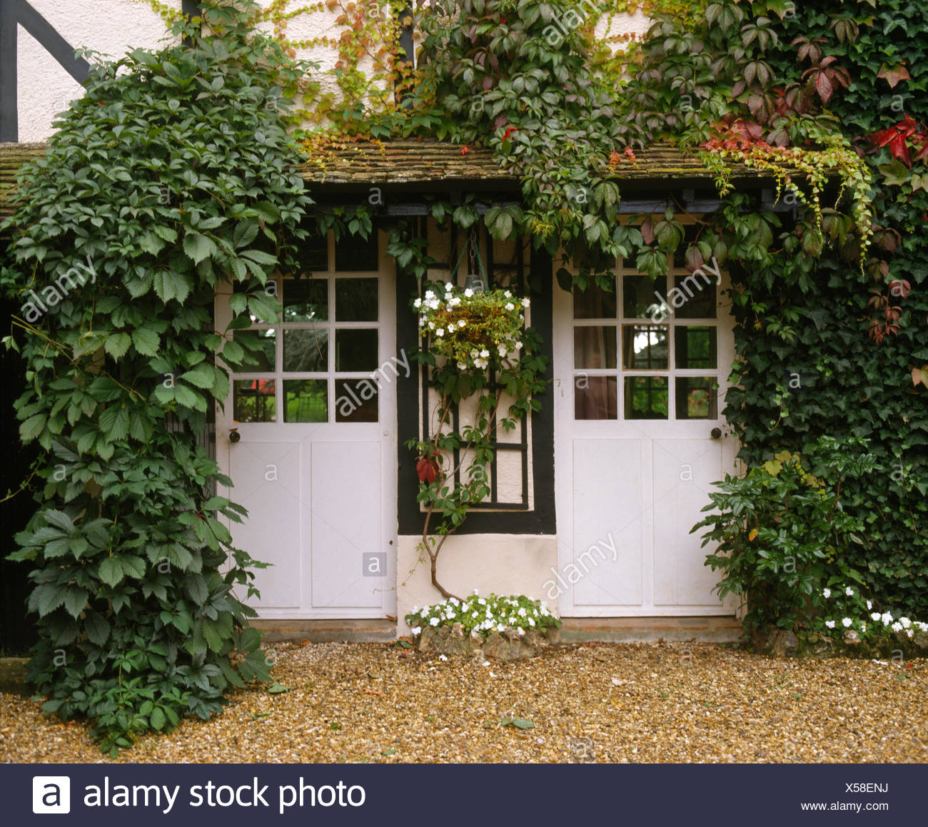Exterior Of White French Cottage With Green Virginia Creeper And