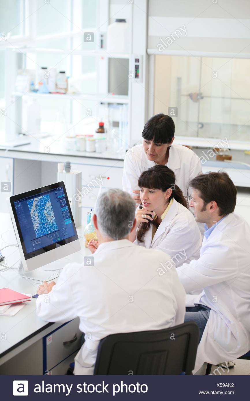 4 Adult Analytical Chemistry Application Basque Country - 