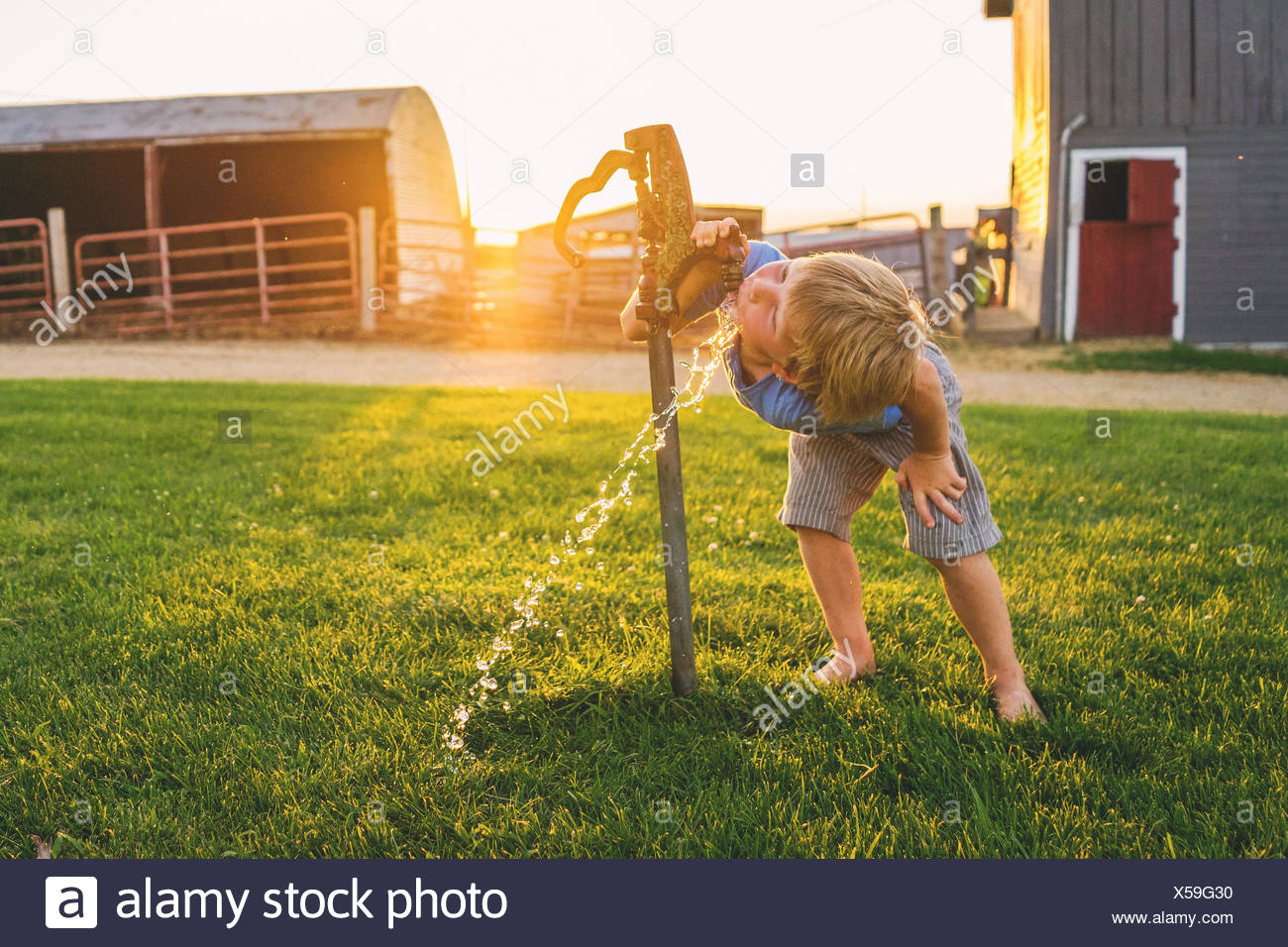 Drinking From The Tap Stock Photos Drinking From The Tap Stock