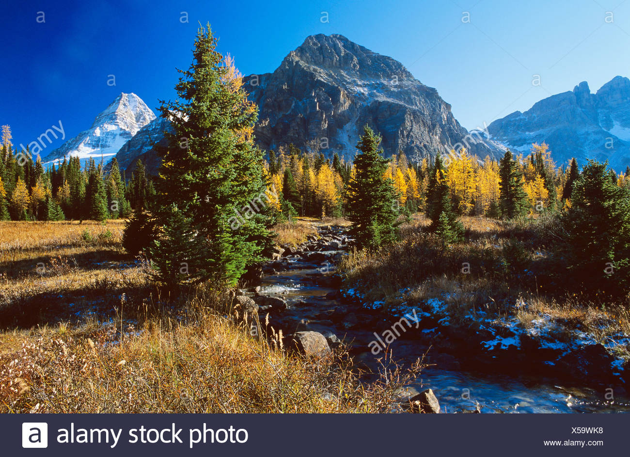 Mount Assiniboine Provincial Park in Fall, British Columbia, Canada. Stock Photo
