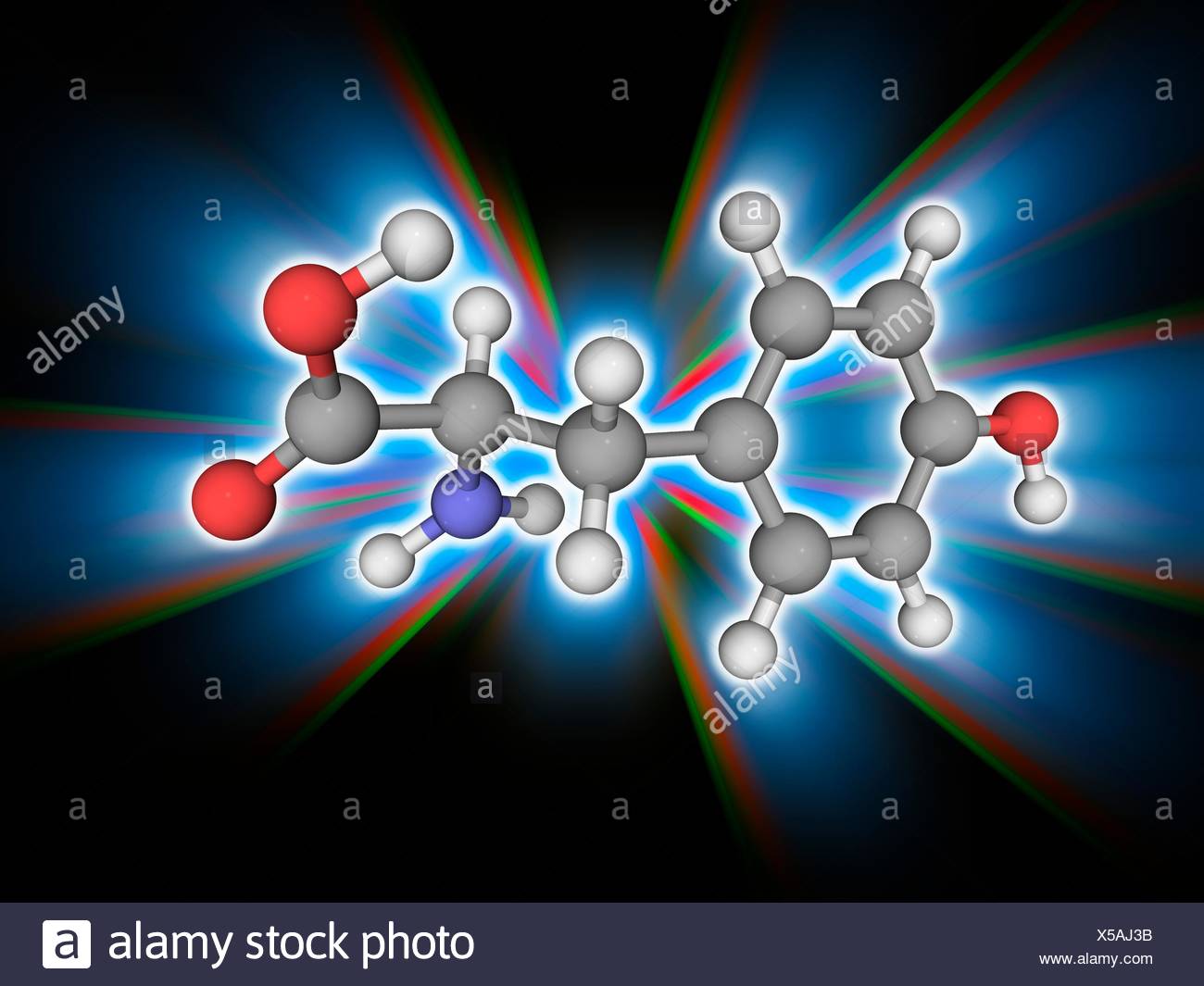 Tyrosine Molecular Model Of The Non Essential Amino Acid Tyrosine C9 H11 N O3 One Of The Amino Acids Used To Synthesize Proteins Proteinogenic Atoms Are Represented As Spheres And Are Colour Coded Carbon Grey Hydrogen
