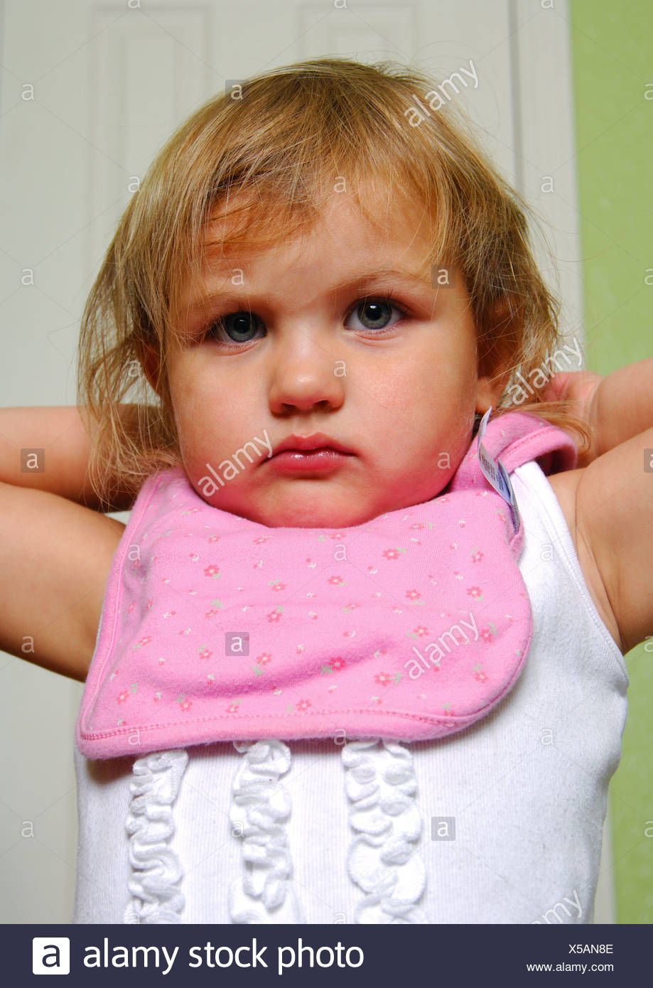 bib stock