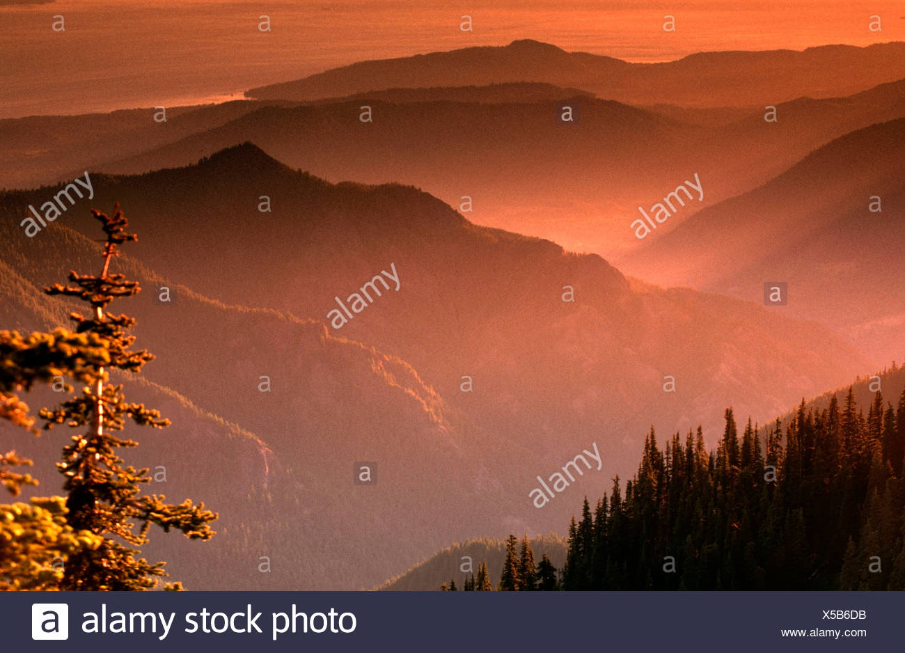 Appalachian Mountains At Sunset View From Clingman Dome Great Smoky Mountains National Park North Carolina Usa Appalachen Bei Stock Photo Alamy