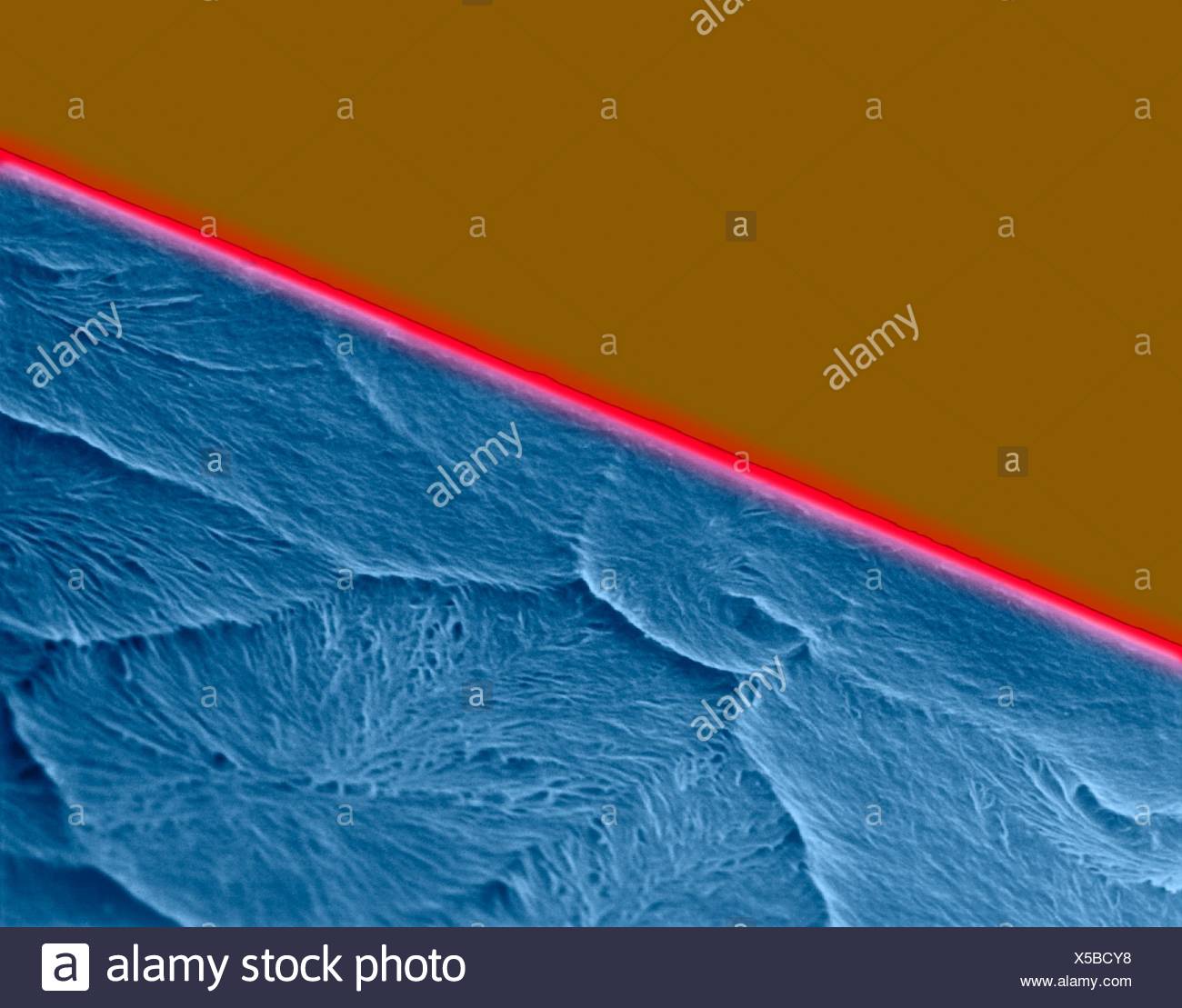Coloured Scanning Electron Micrograph Sem Of Edge Of A New Razor