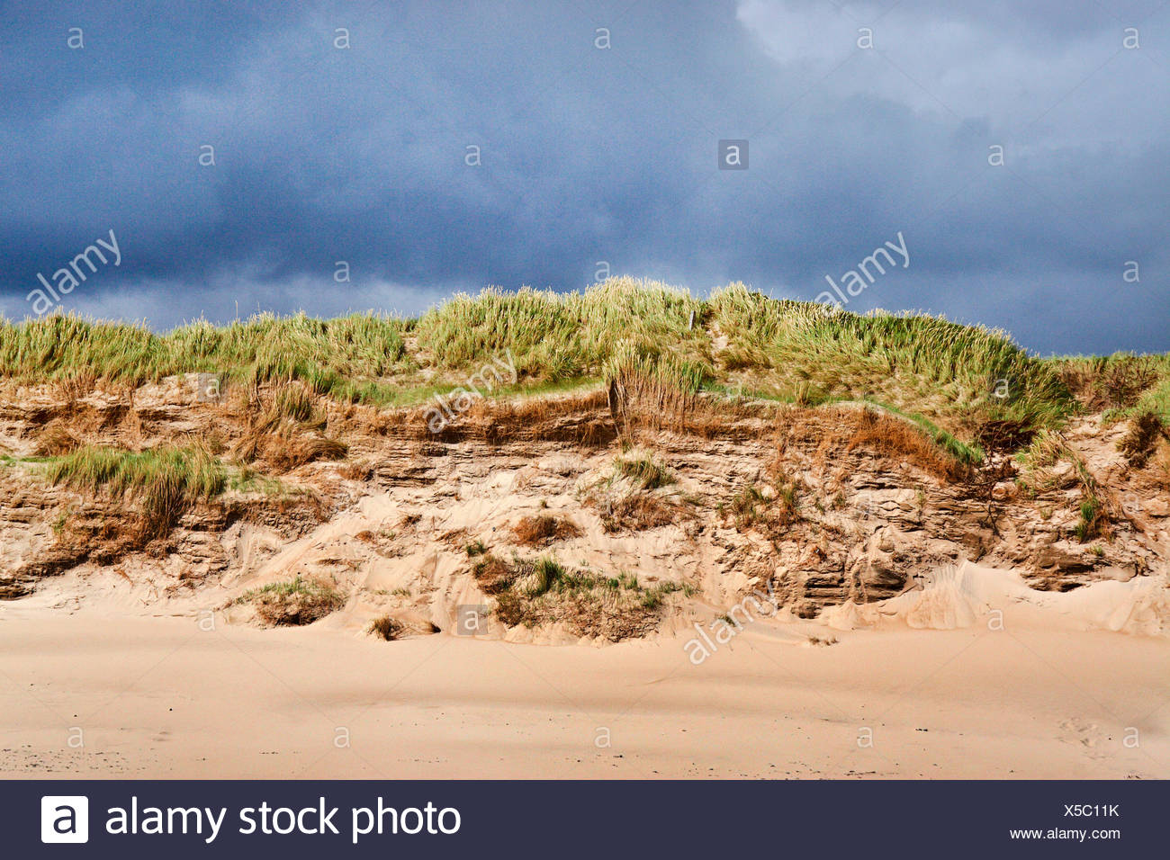 secondary dune, Denmark, Thy National Park Stock Photo - Alamy
